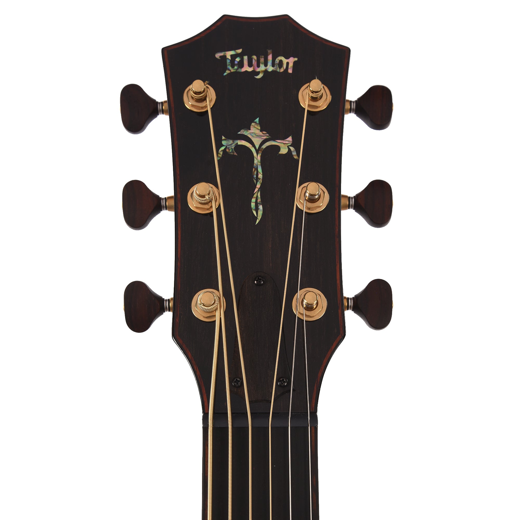 Taylor Custom 
