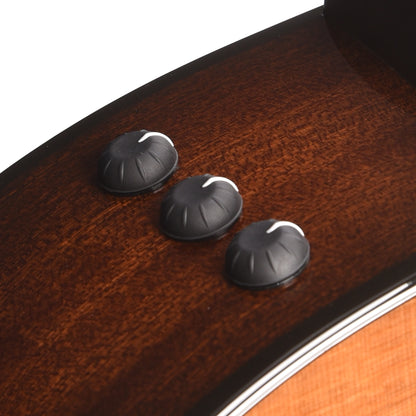 Taylor Limited 316ce Baritone 6 Grand Symphony Torrefied Sitka/Sapele Tobacco ES2 Acoustic Guitars / Baritone