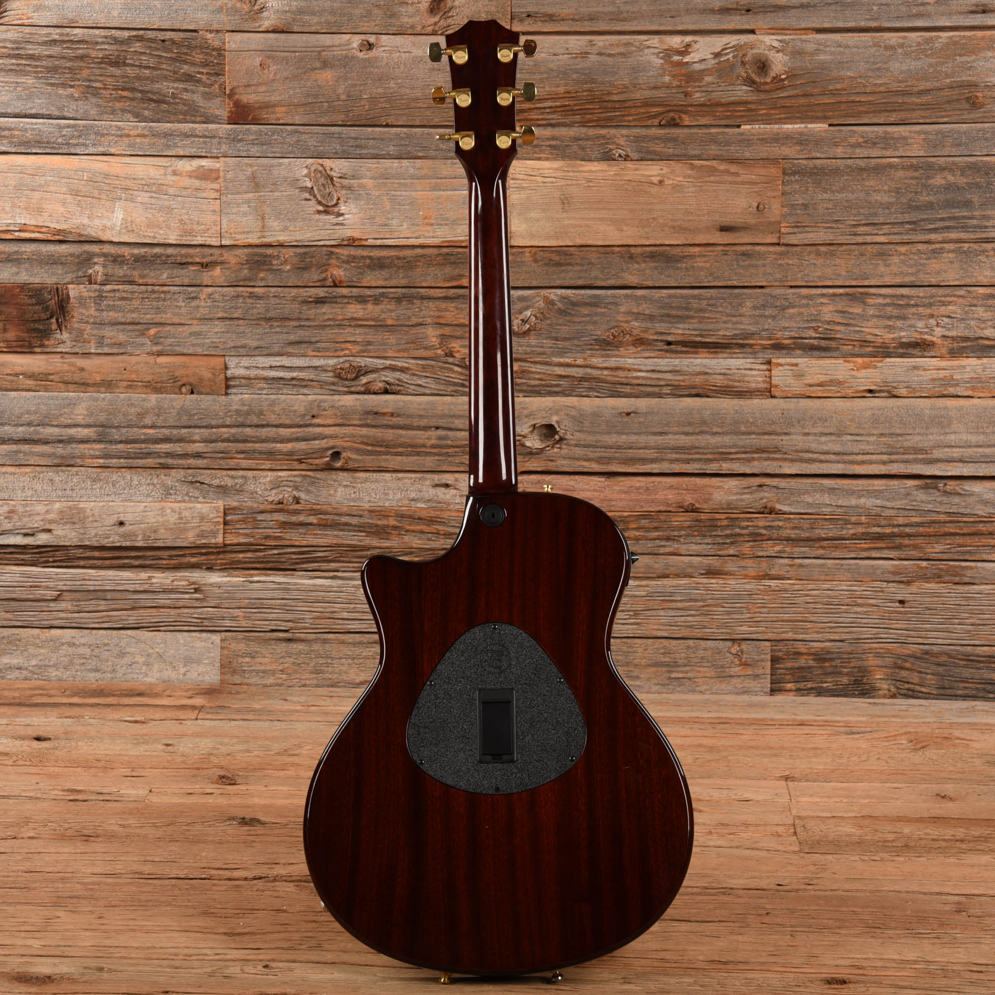 Taylor T5-C3 Cocobolo 2012 Acoustic Guitars / Built-in Electronics
