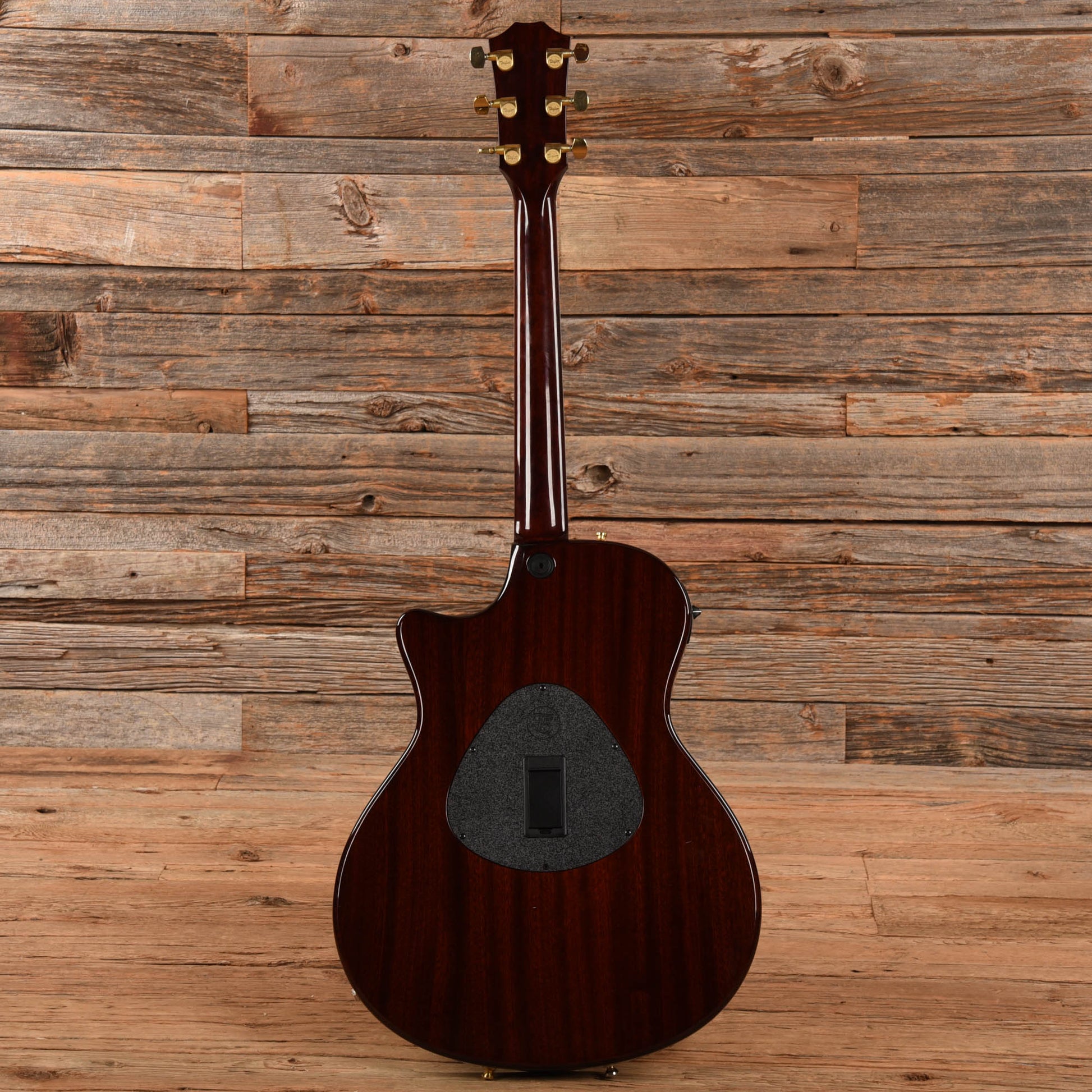 Taylor T5-C3 Cocobolo 2012 Acoustic Guitars / Built-in Electronics