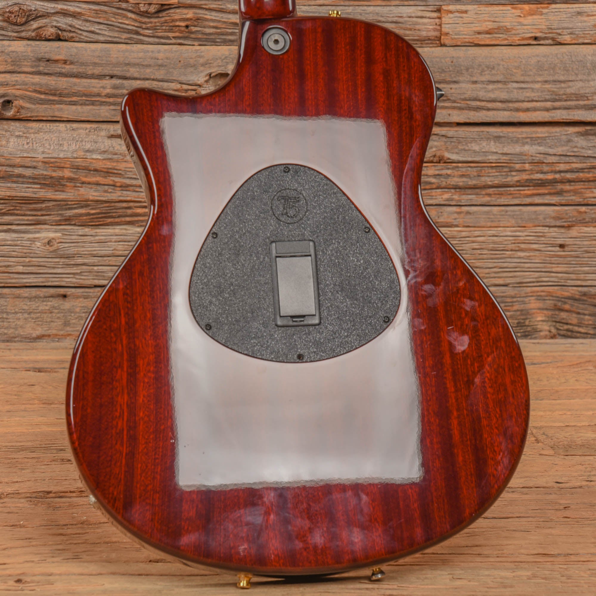 Taylor T5-C3 Cocobolo 2012 Acoustic Guitars / Built-in Electronics