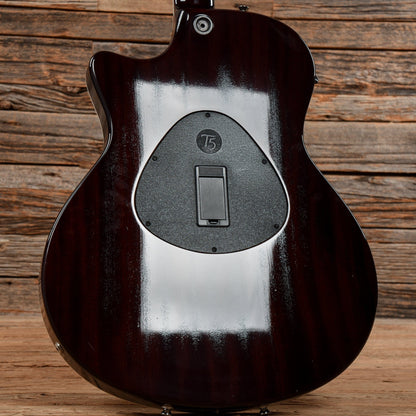 Taylor T5-S Sunburst 2005 Acoustic Guitars / Built-in Electronics