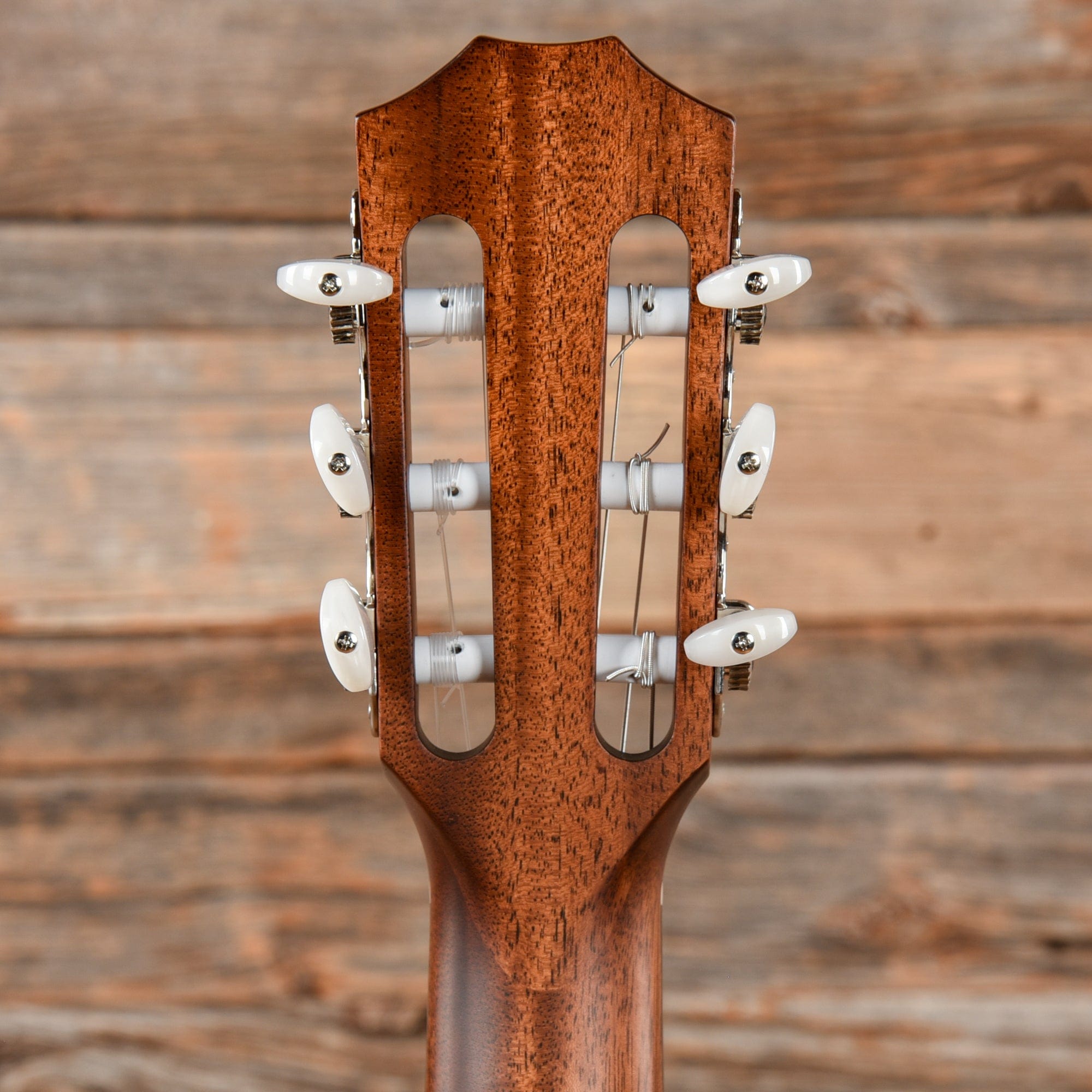 Taylor 314n Natural Acoustic Guitars / Classical