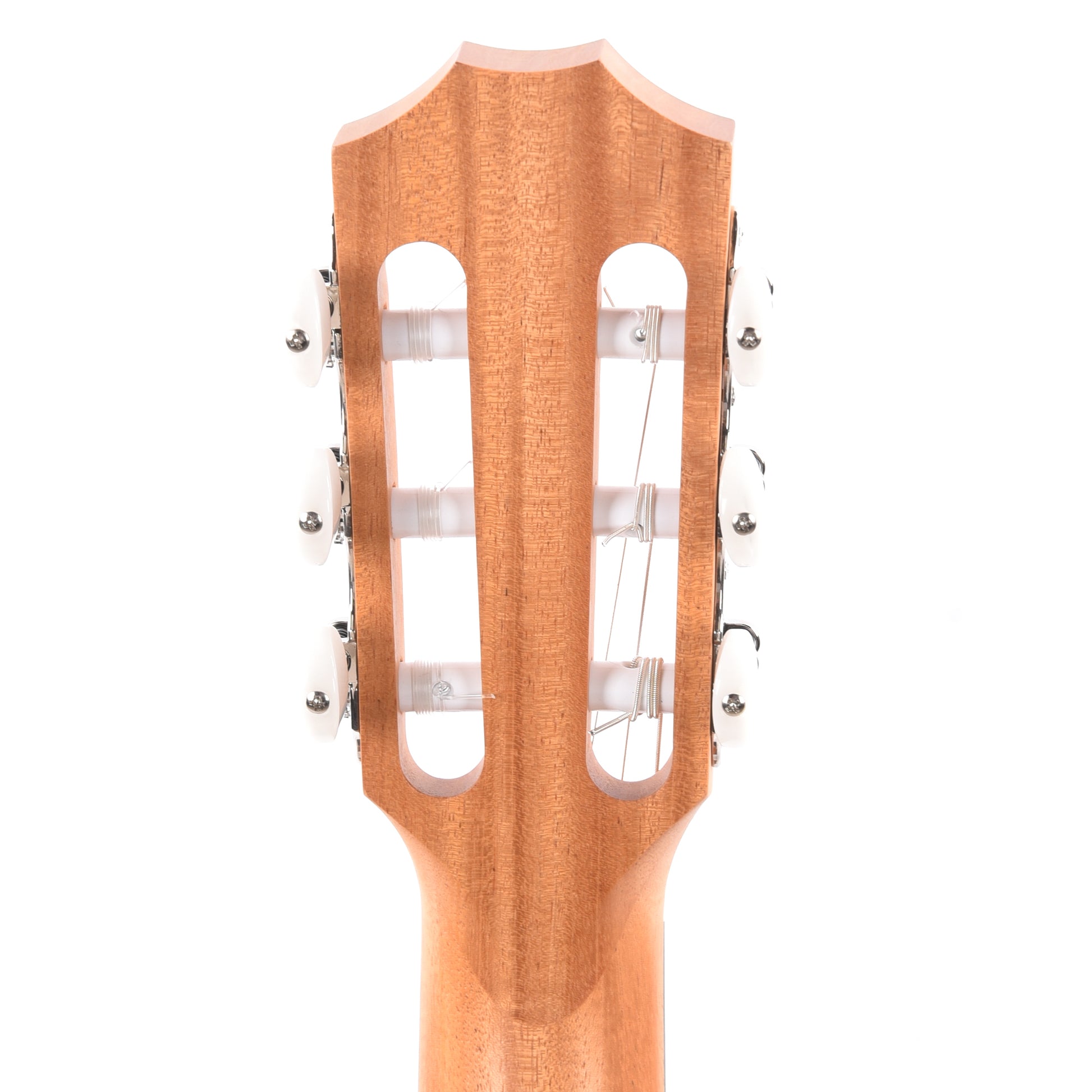 Taylor Academy 12-N Grand Concert Sitka/Walnut Natural Acoustic Guitars / Classical