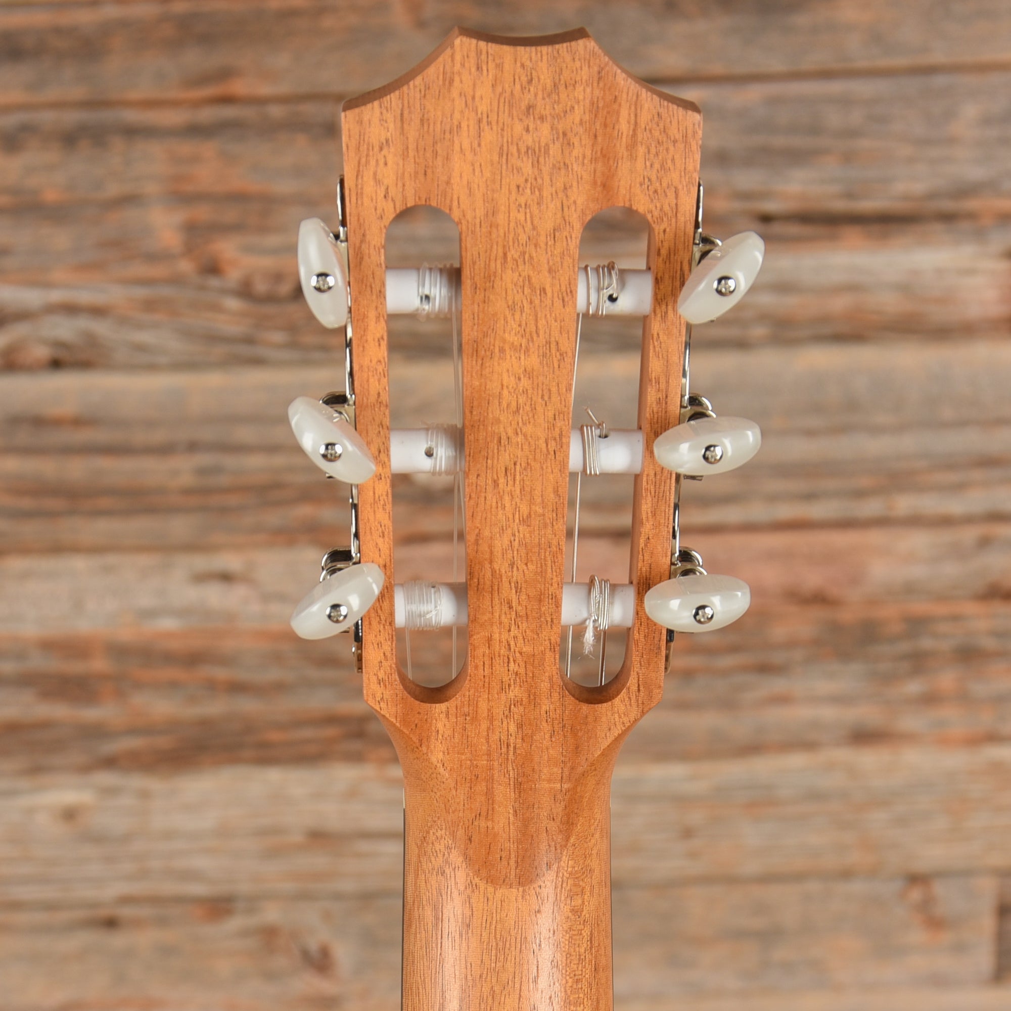 Taylor Academy 12-N Lutz Spruce/Layered Sapele Grand Concert Nylon String Acoustic Guitars / Classical