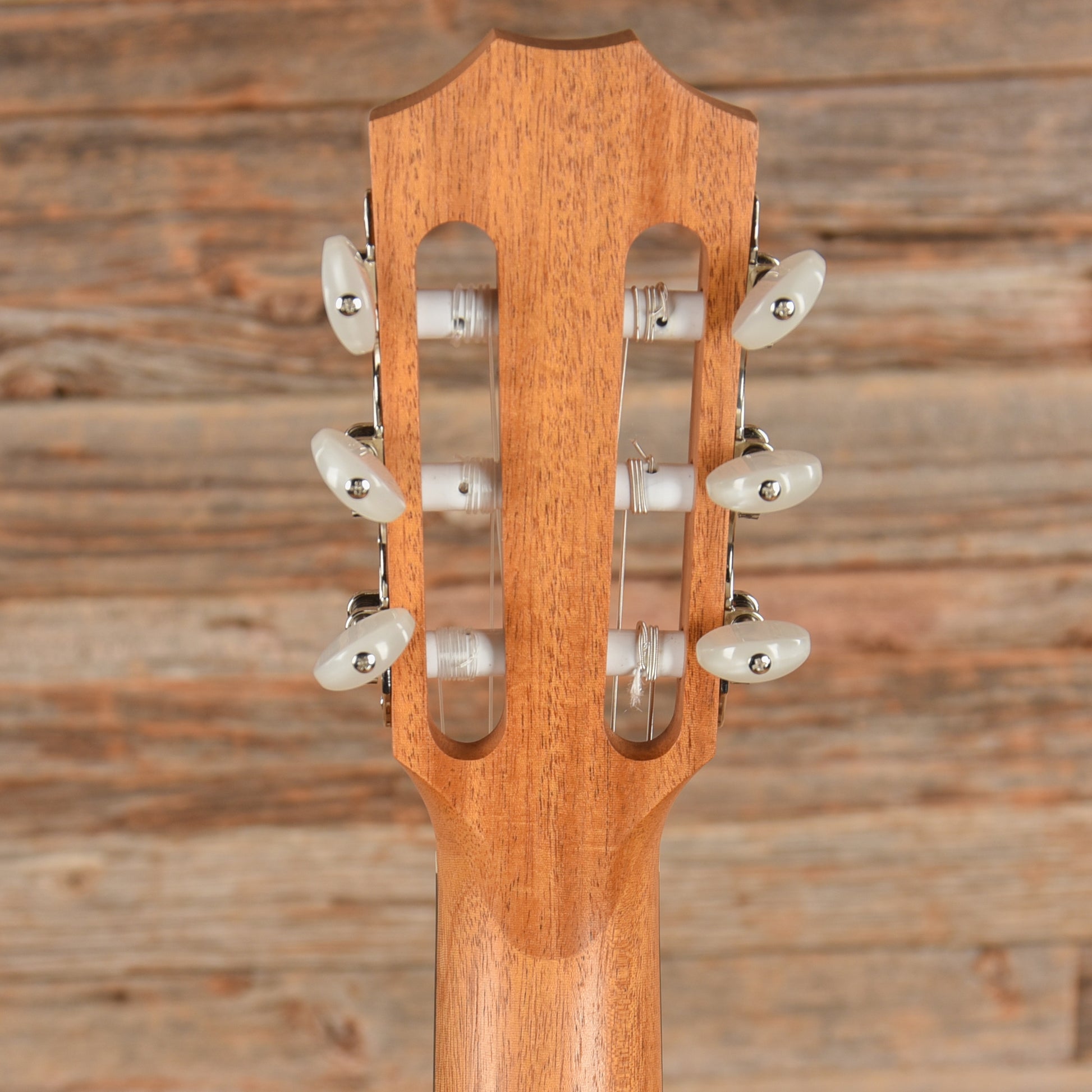 Taylor Academy 12-N Lutz Spruce/Layered Sapele Grand Concert Nylon String Acoustic Guitars / Classical