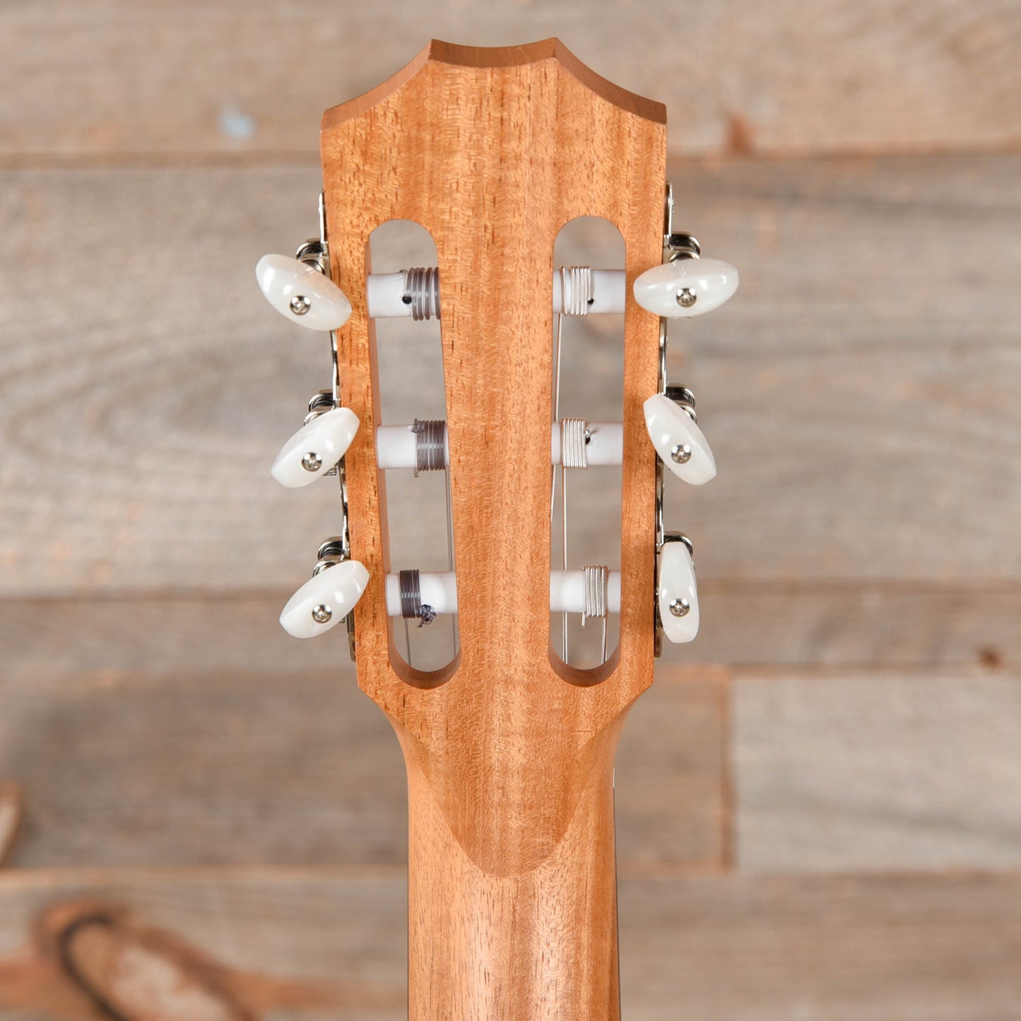 Taylor Academy 12-N Lutz Spruce/Layered Sapele Grand Concert Nylon String Acoustic Guitars / Classical