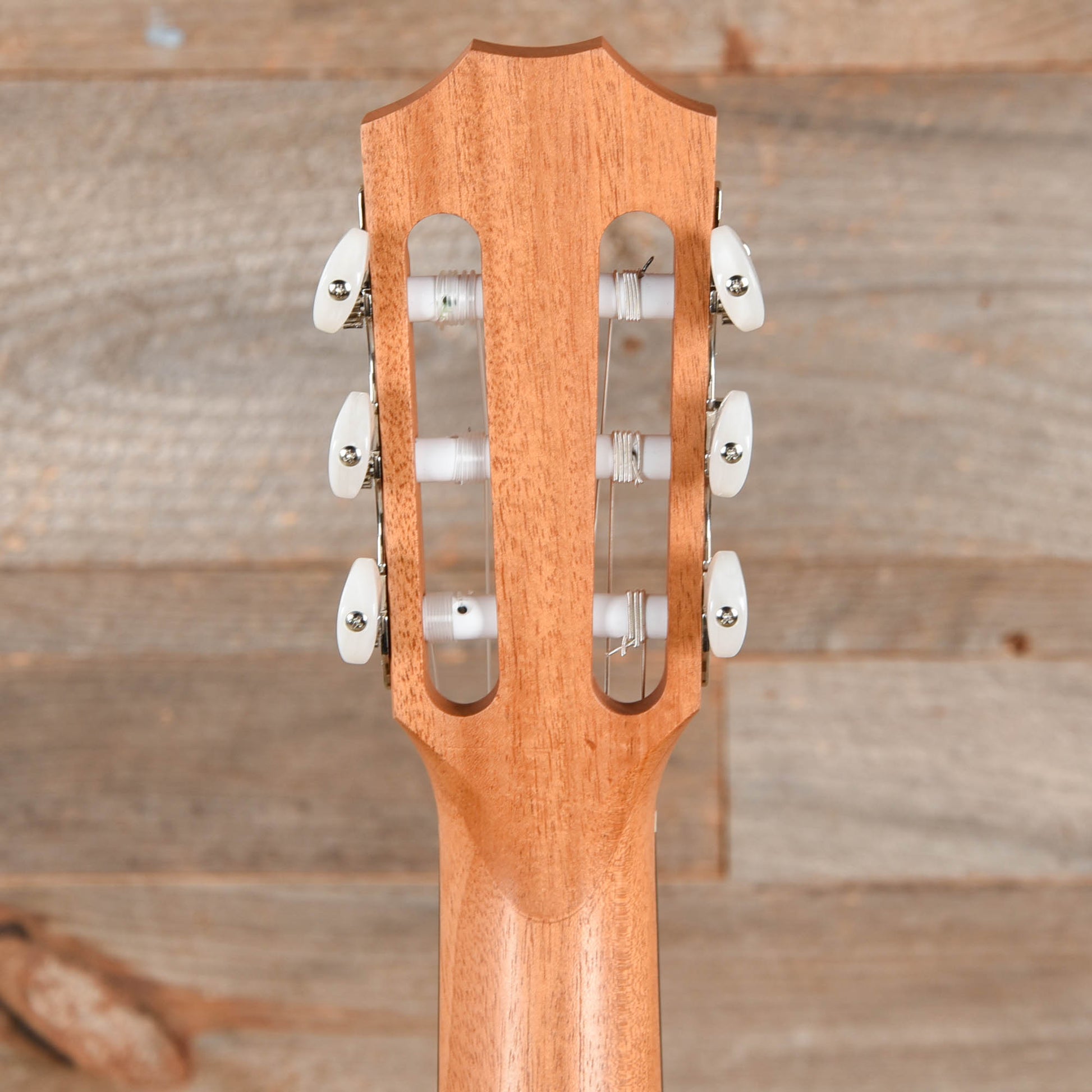 Taylor Academy 12e-N Grand Concert Sitka/Walnut Natural ES-B Acoustic Guitars / Classical