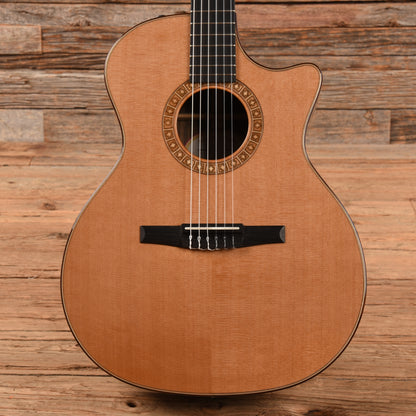 Taylor NS74ce Natural 2010 Acoustic Guitars / Classical
