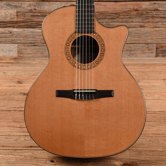 Taylor NS74ce Natural 2010 Acoustic Guitars / Classical