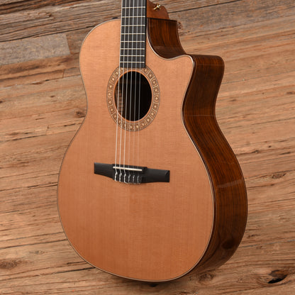 Taylor NS74ce Natural 2010 Acoustic Guitars / Classical