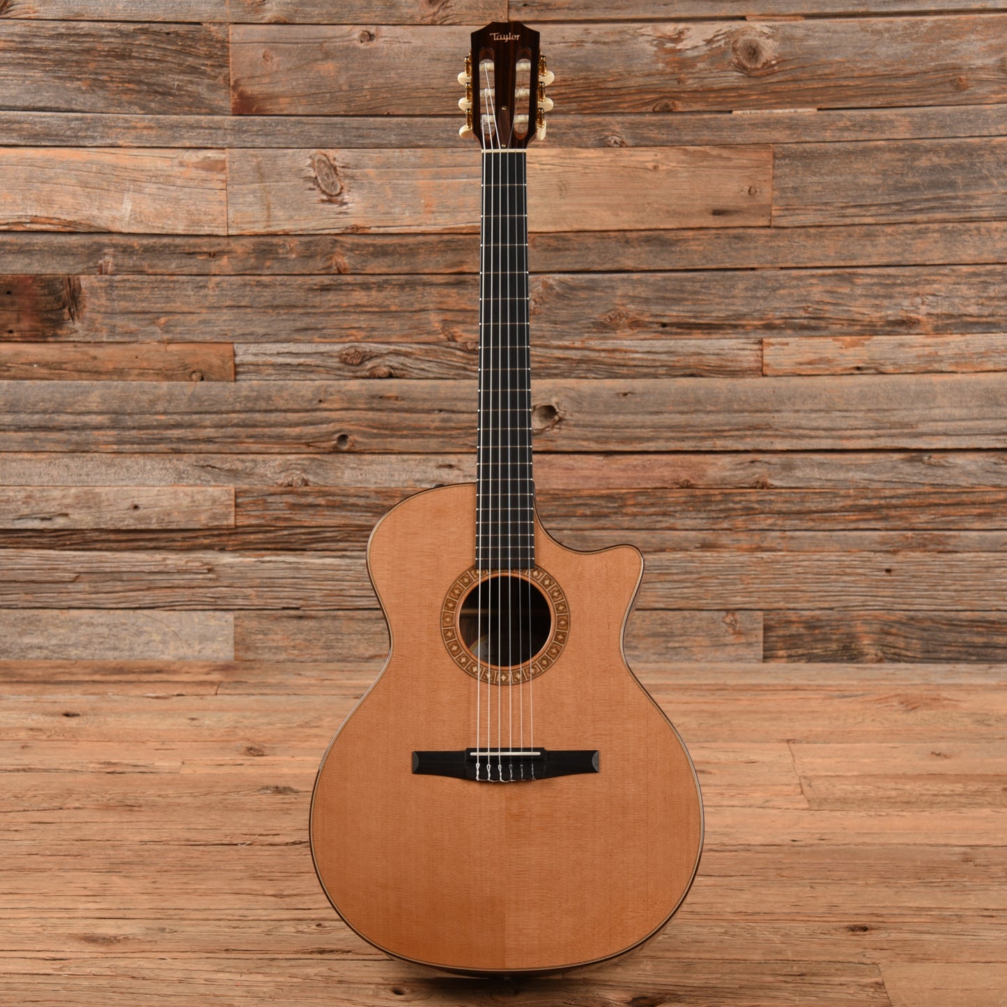 Taylor NS74ce Natural 2010 Acoustic Guitars / Classical