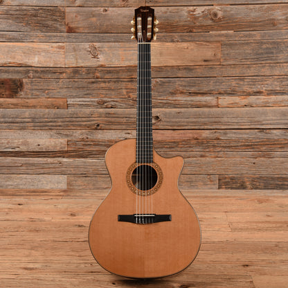 Taylor NS74ce Natural 2010 Acoustic Guitars / Classical