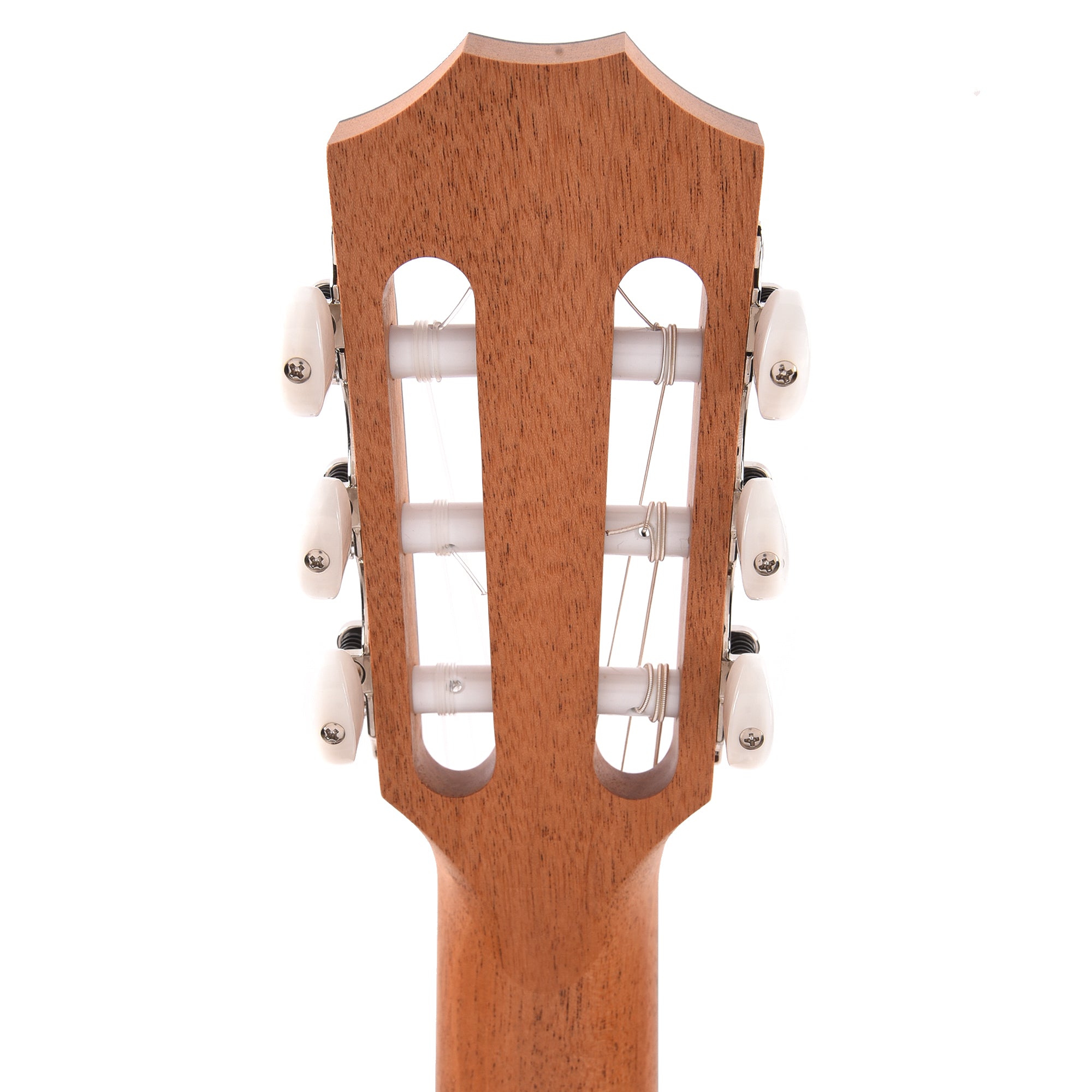 Taylor 212ce-N Plus Grand Concert Torrefied Sitka/Rosewood Natural ES-N Acoustic Guitars / Concert