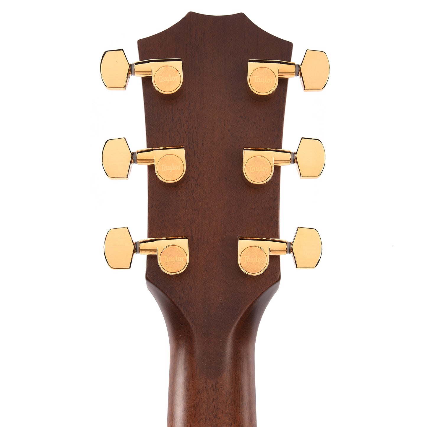 Taylor 50th Anniversary Limited 312ce Grand Concert Torrefied Sitka/Sapele Shaded Edgeburst ES2 Acoustic Guitars / Concert