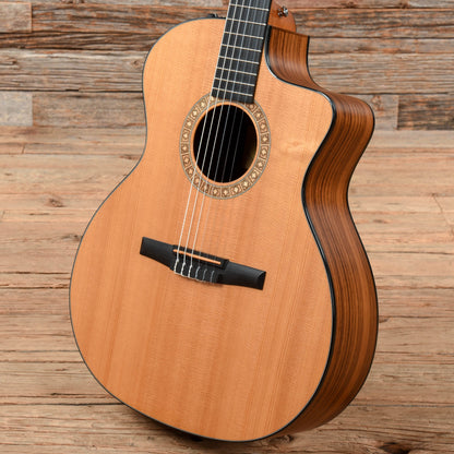 Taylor NS24ce Natural 2010 Acoustic Guitars / Concert