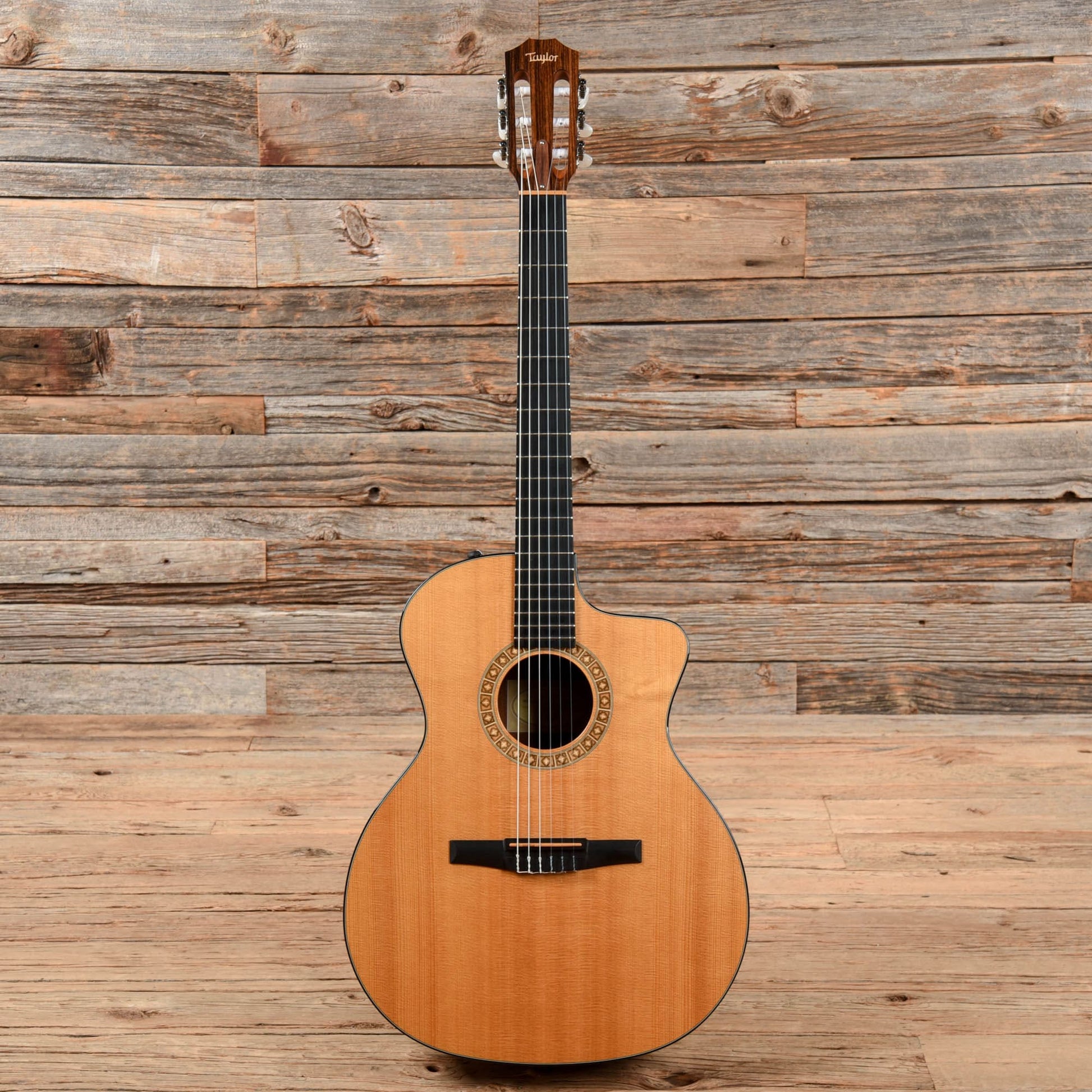 Taylor NS24ce Natural 2010 Acoustic Guitars / Concert