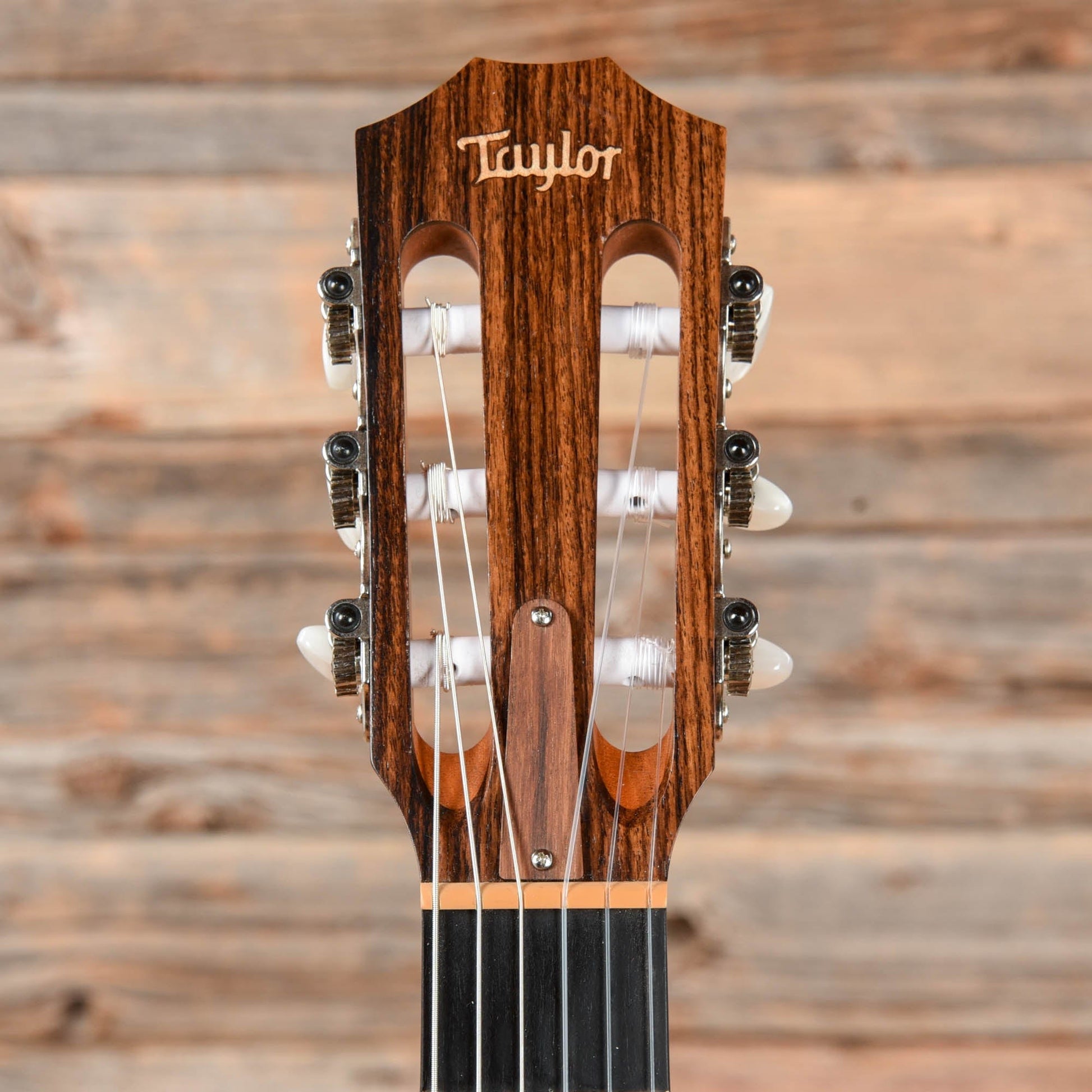 Taylor NS24ce Natural 2010 Acoustic Guitars / Concert