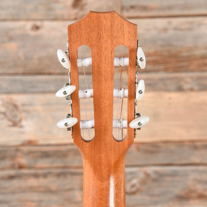 Taylor NS24ce Natural 2010 Acoustic Guitars / Concert