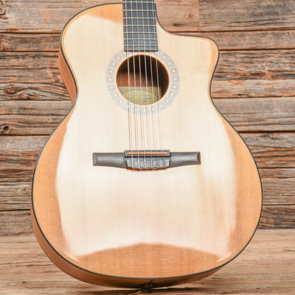 Taylor NS24ce Natural 2010 Acoustic Guitars / Concert