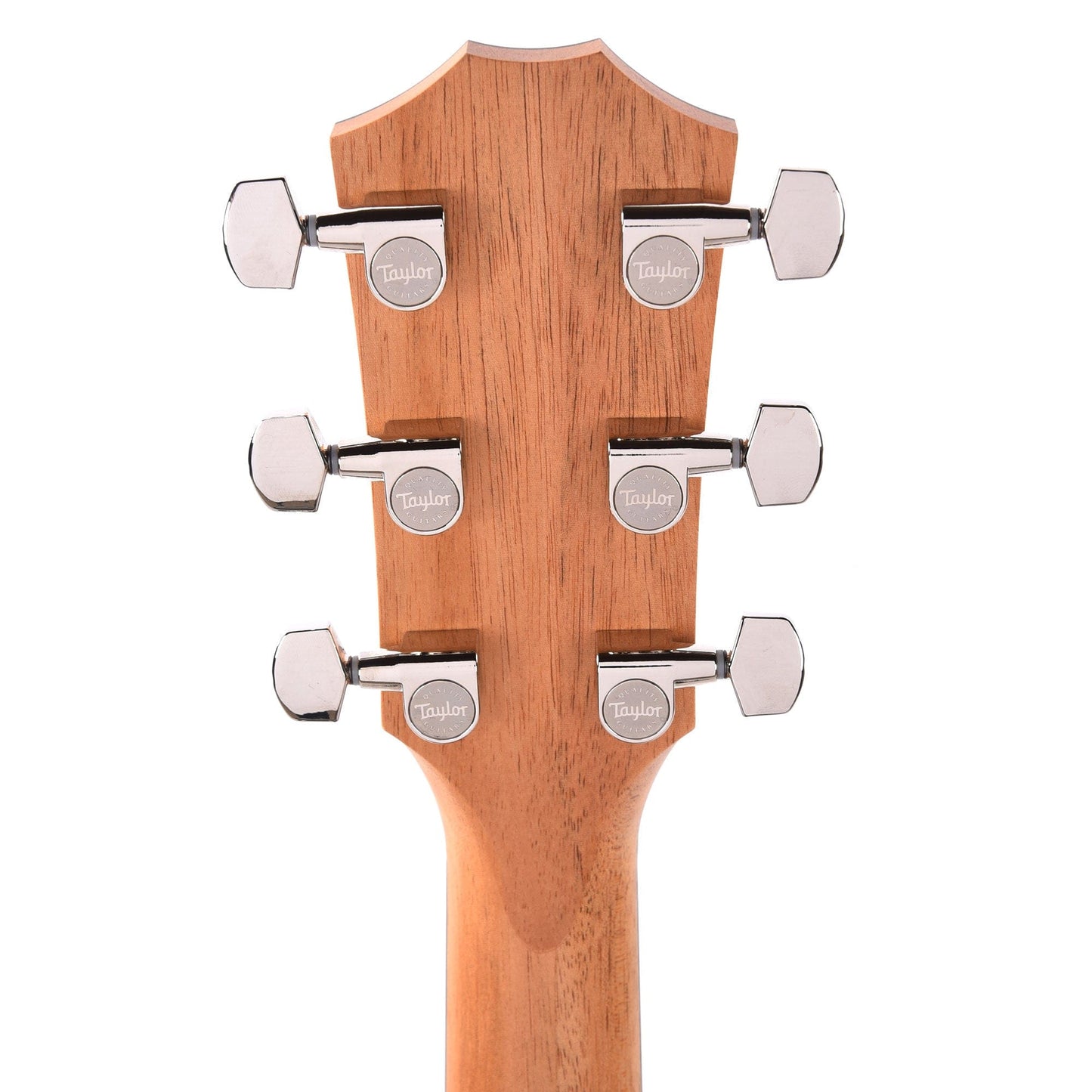 Taylor 210ce Plus Dreadnought Spruce/Rosewood Natural Acoustic Guitars / Dreadnought