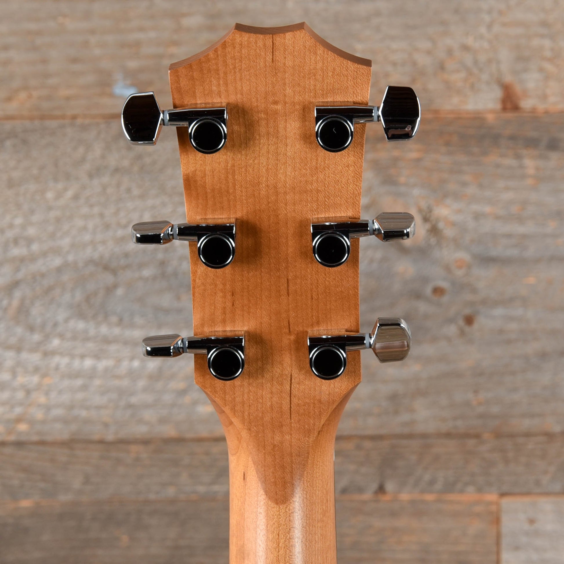 Taylor Academy 10 Dreadnought Sitka/Walnut Natural Acoustic Guitars / Dreadnought