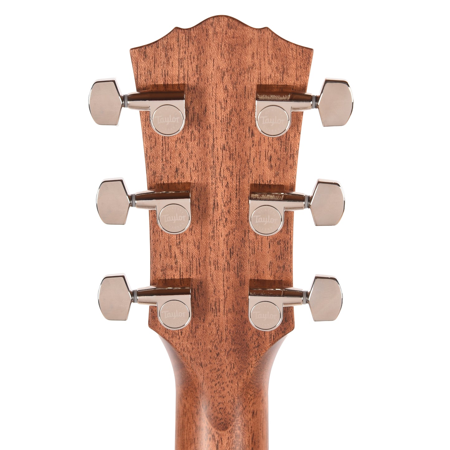 Taylor Gold Label 510e Torrefied Sitka/Mahogany Natural w/L.R. Baggs VTC Acoustic Guitars / Dreadnought