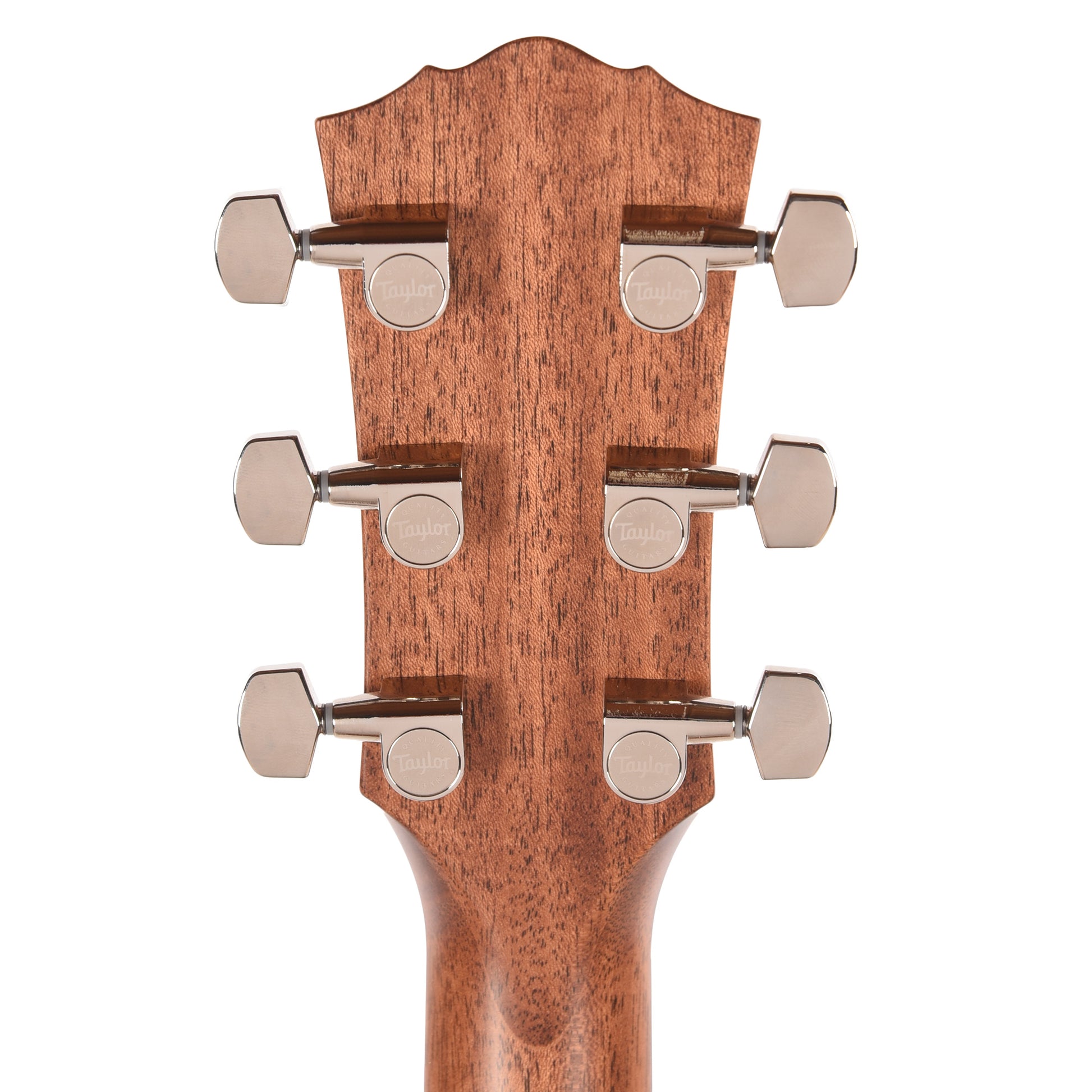 Taylor Gold Label 510e Torrefied Sitka/Mahogany Natural w/L.R. Baggs VTC Acoustic Guitars / Dreadnought