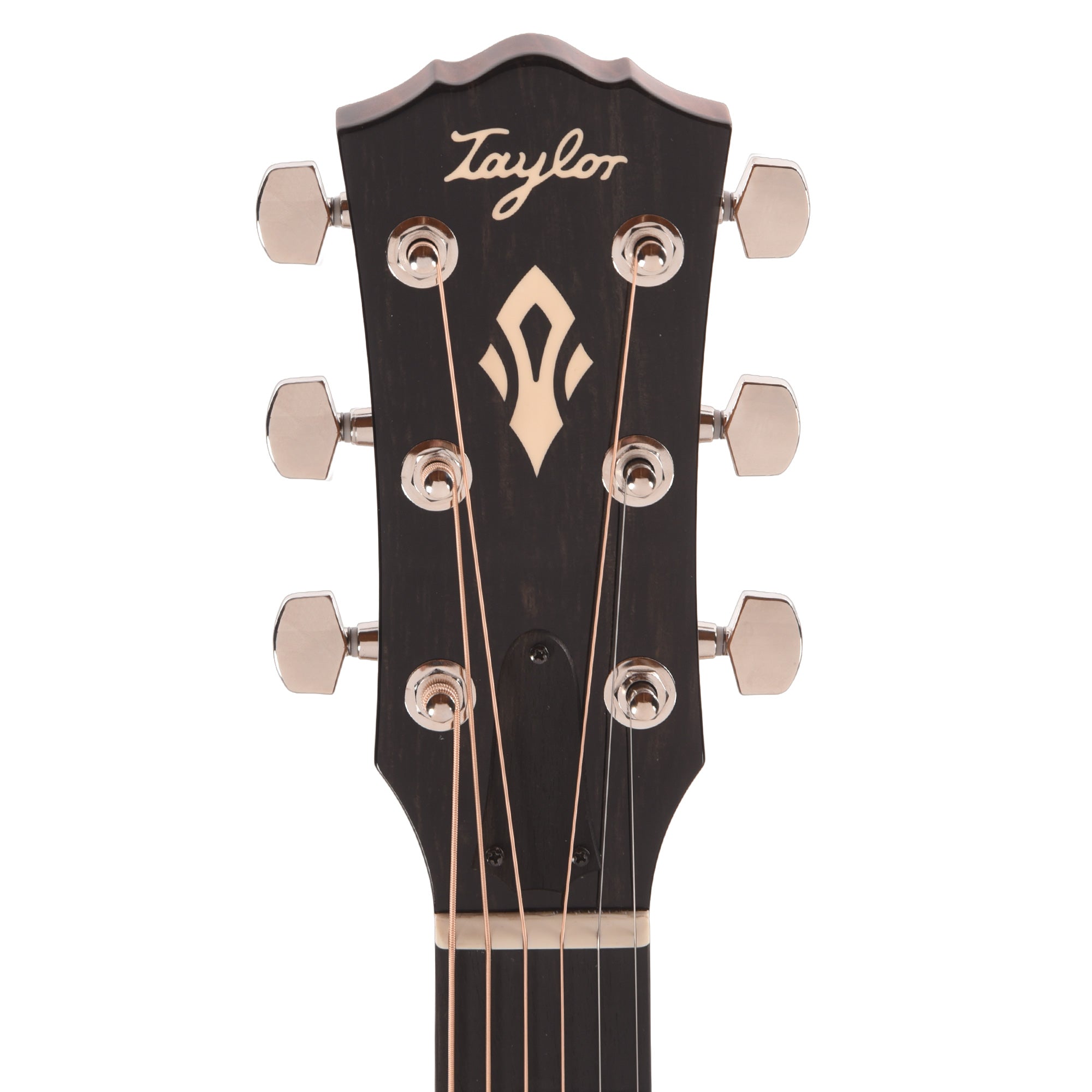 Taylor Gold Label 510e Torrefied Sitka/Mahogany Natural w/L.R. Baggs VTC Acoustic Guitars / Dreadnought