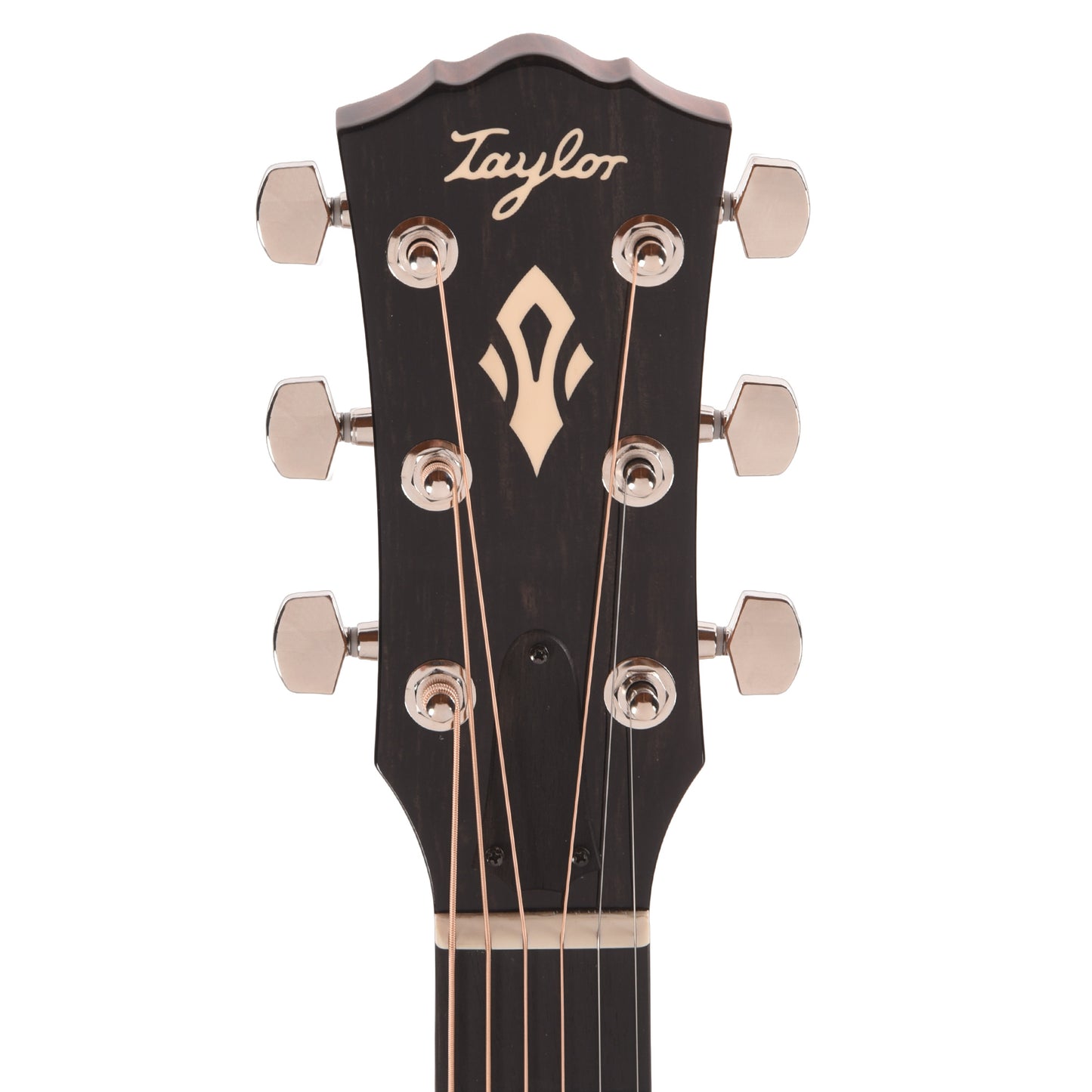 Taylor Gold Label 510e Torrefied Sitka/Mahogany Natural w/L.R. Baggs VTC Acoustic Guitars / Dreadnought