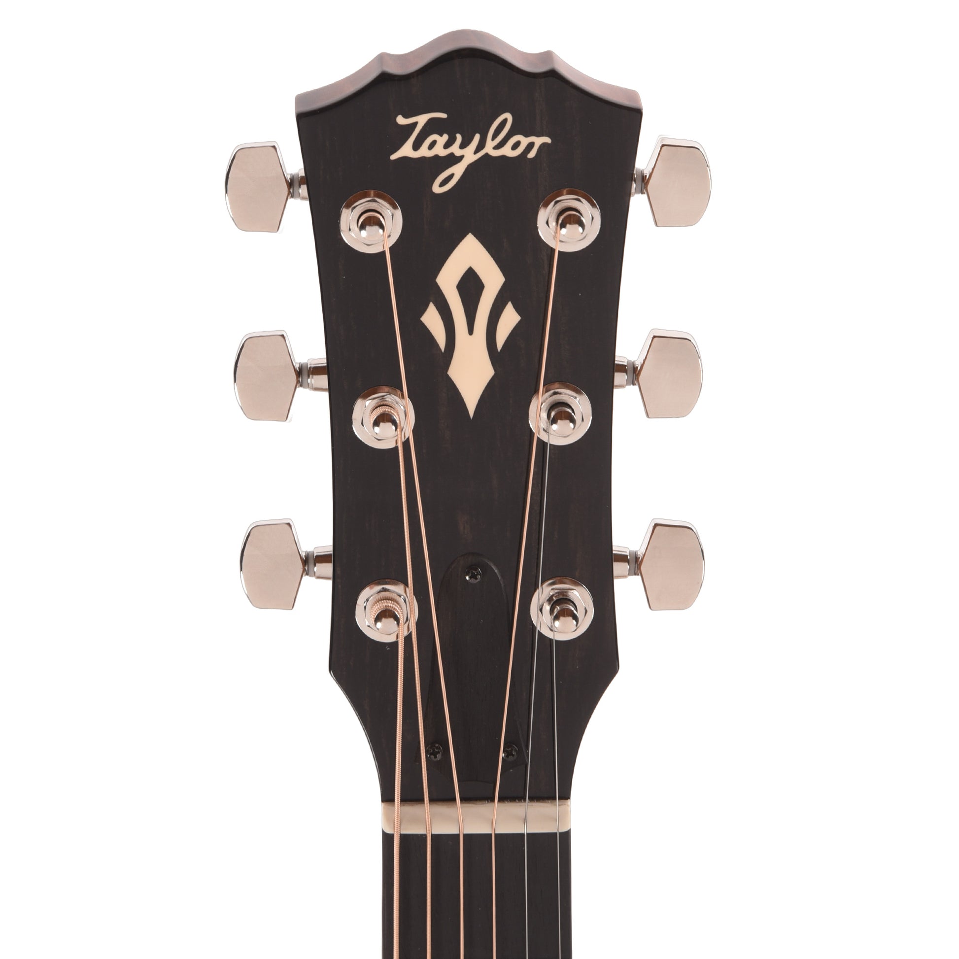Taylor Gold Label 510e Torrefied Sitka/Mahogany Natural w/L.R. Baggs VTC Acoustic Guitars / Dreadnought