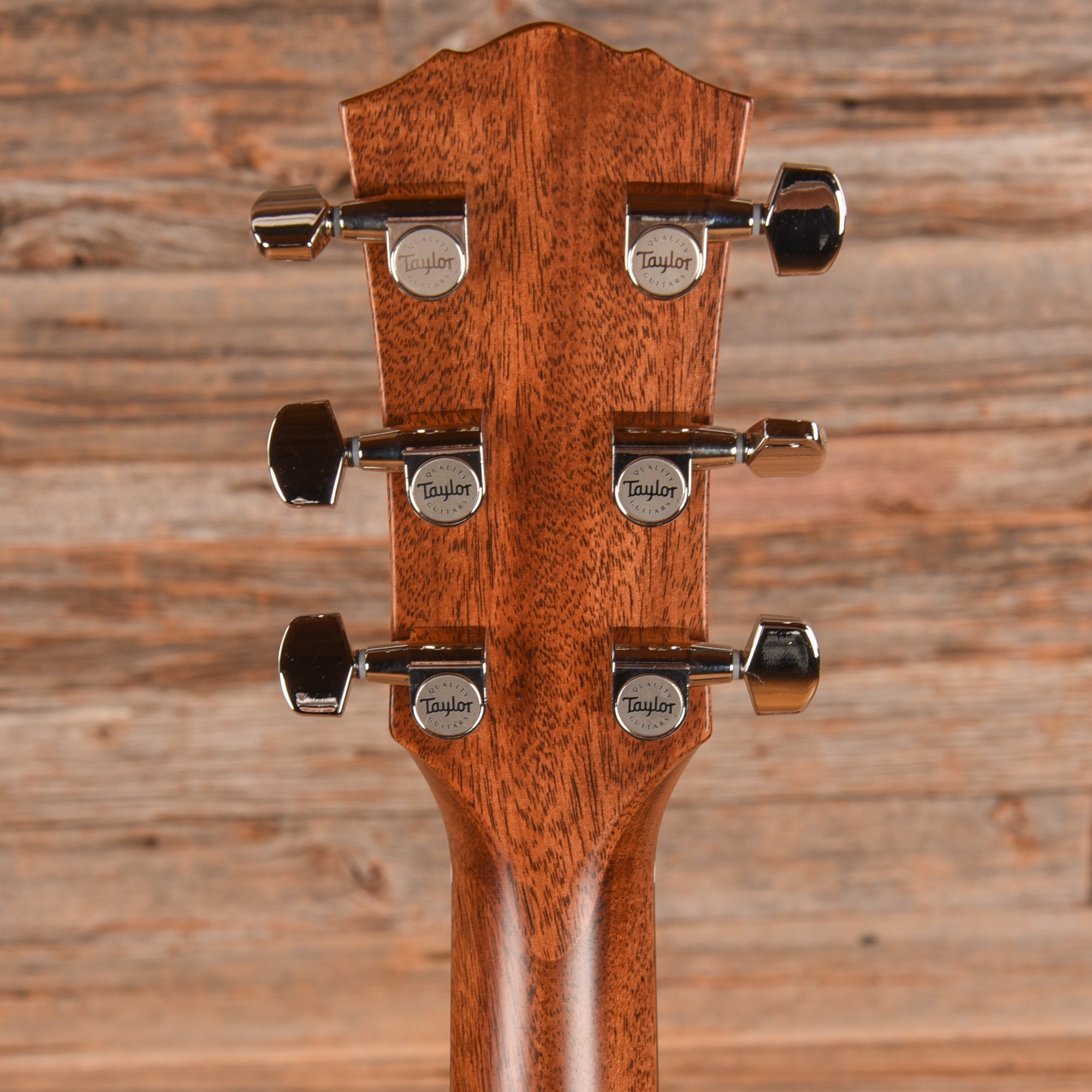 Taylor Gold Label 517e Blacktop 2025 Acoustic Guitars / Dreadnought