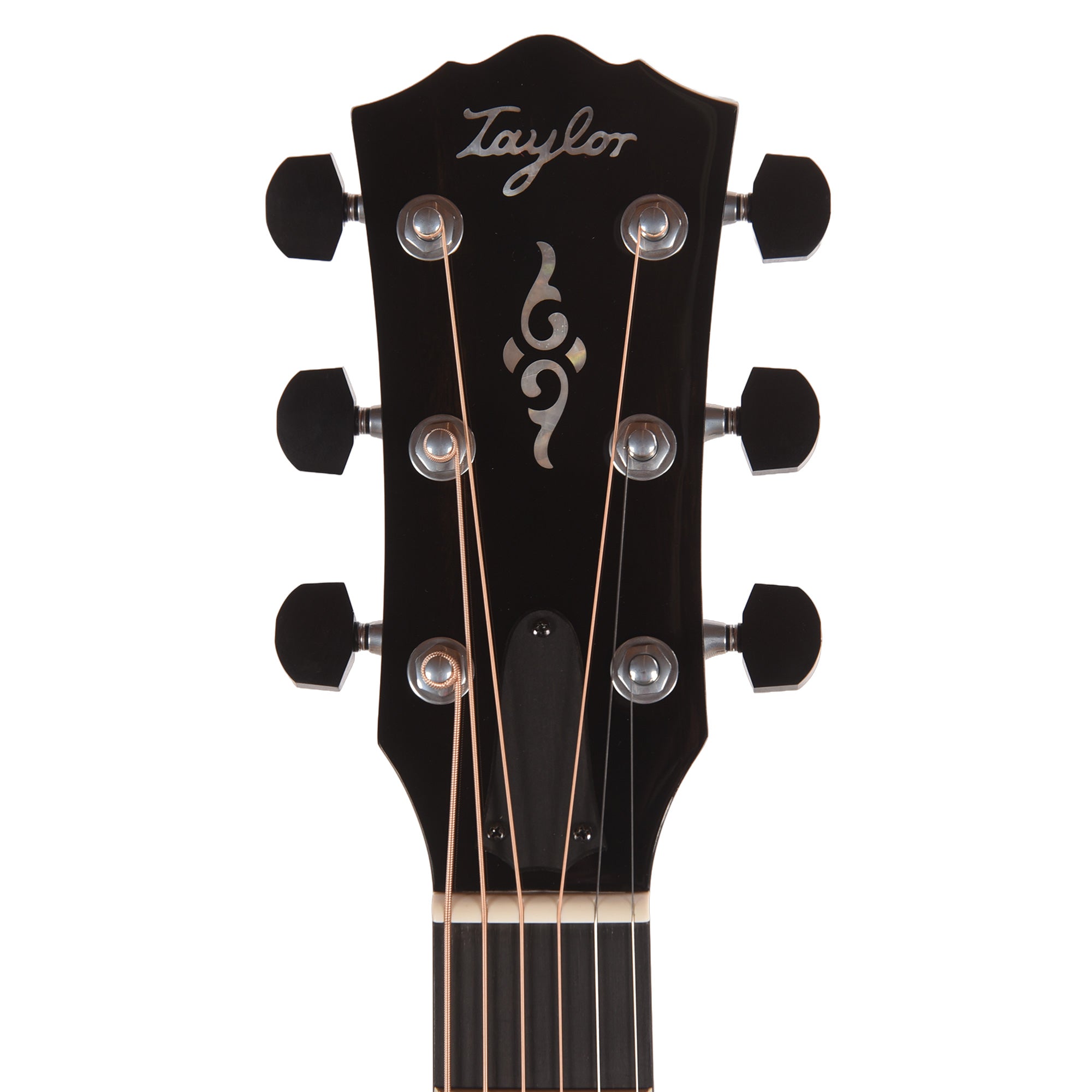 Taylor Gold Label 810e Torrefied Sitka/Honduran Rosewood Natural w/L.R. Baggs VTC Acoustic Guitars / Dreadnought