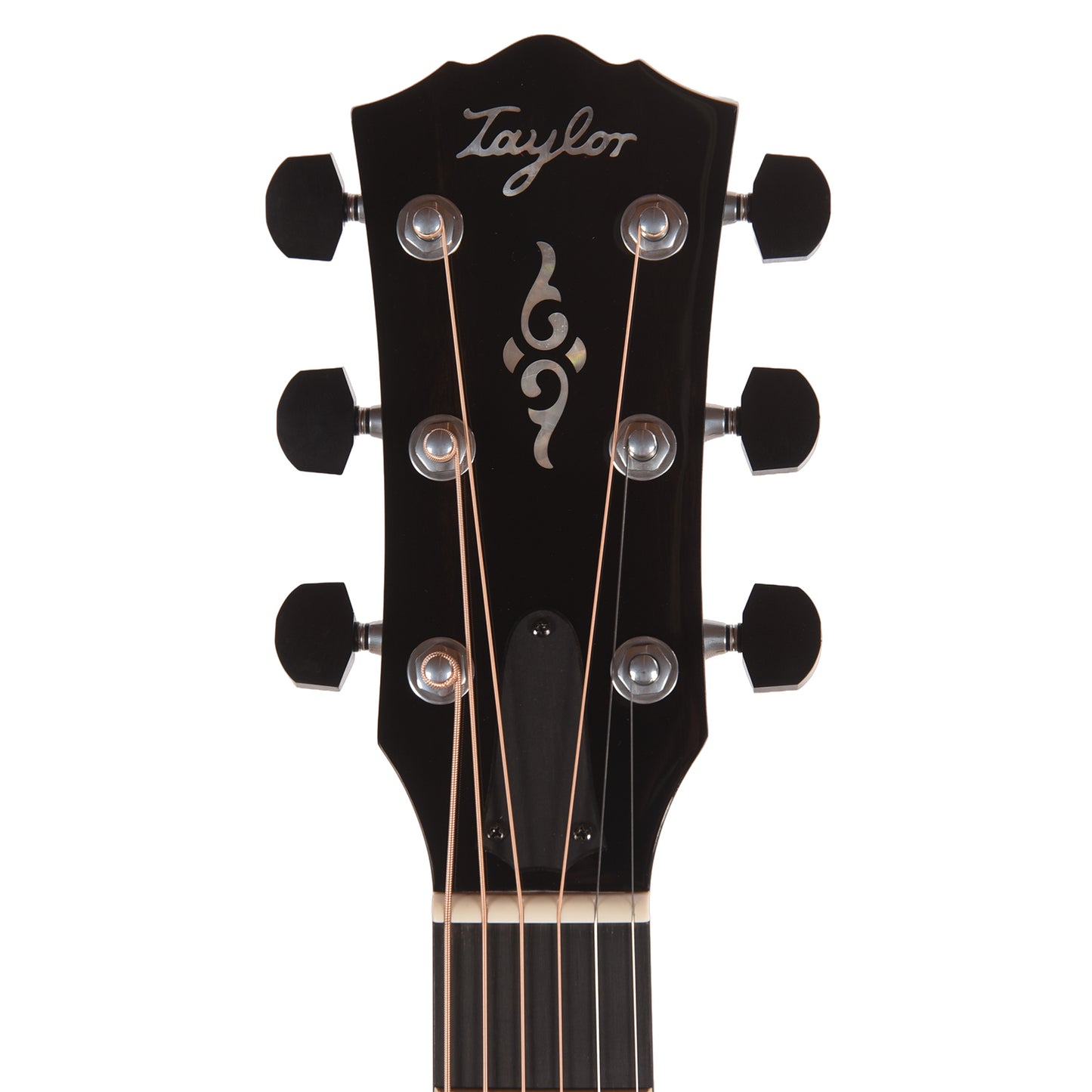 Taylor Gold Label 810e Torrefied Sitka/Honduran Rosewood Natural w/L.R. Baggs VTC Acoustic Guitars / Dreadnought