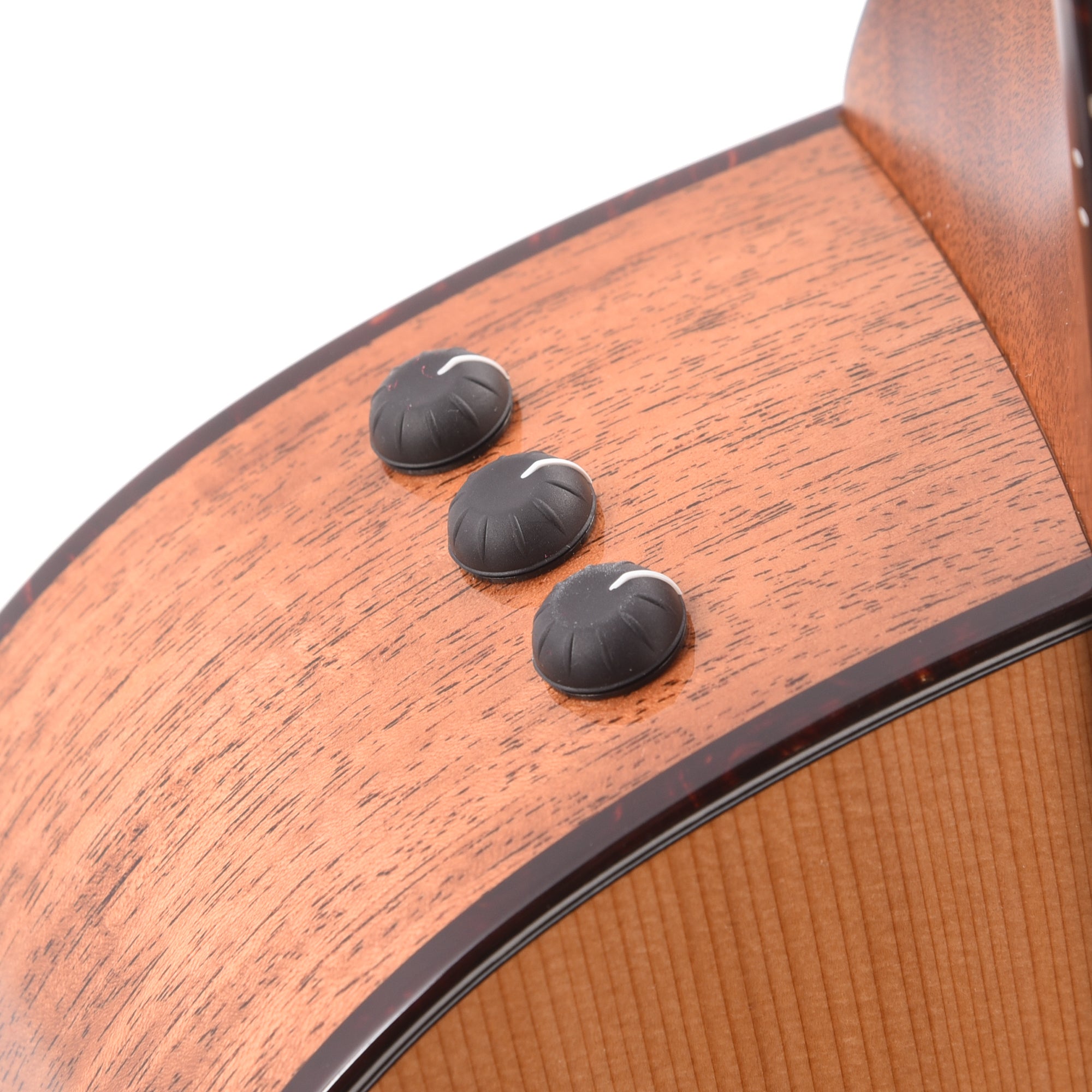Taylor Legacy Collection 514ce Grand Auditorium Cedar/Mahogany Natural Acoustic Guitars / Dreadnought