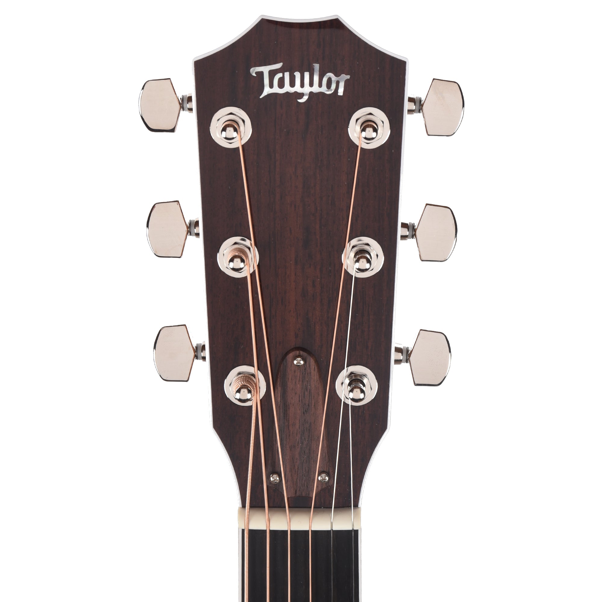 Taylor Legacy Collection 810e Dreadnought Sitka/Indian Rosewood Natural Acoustic Guitars / Dreadnought