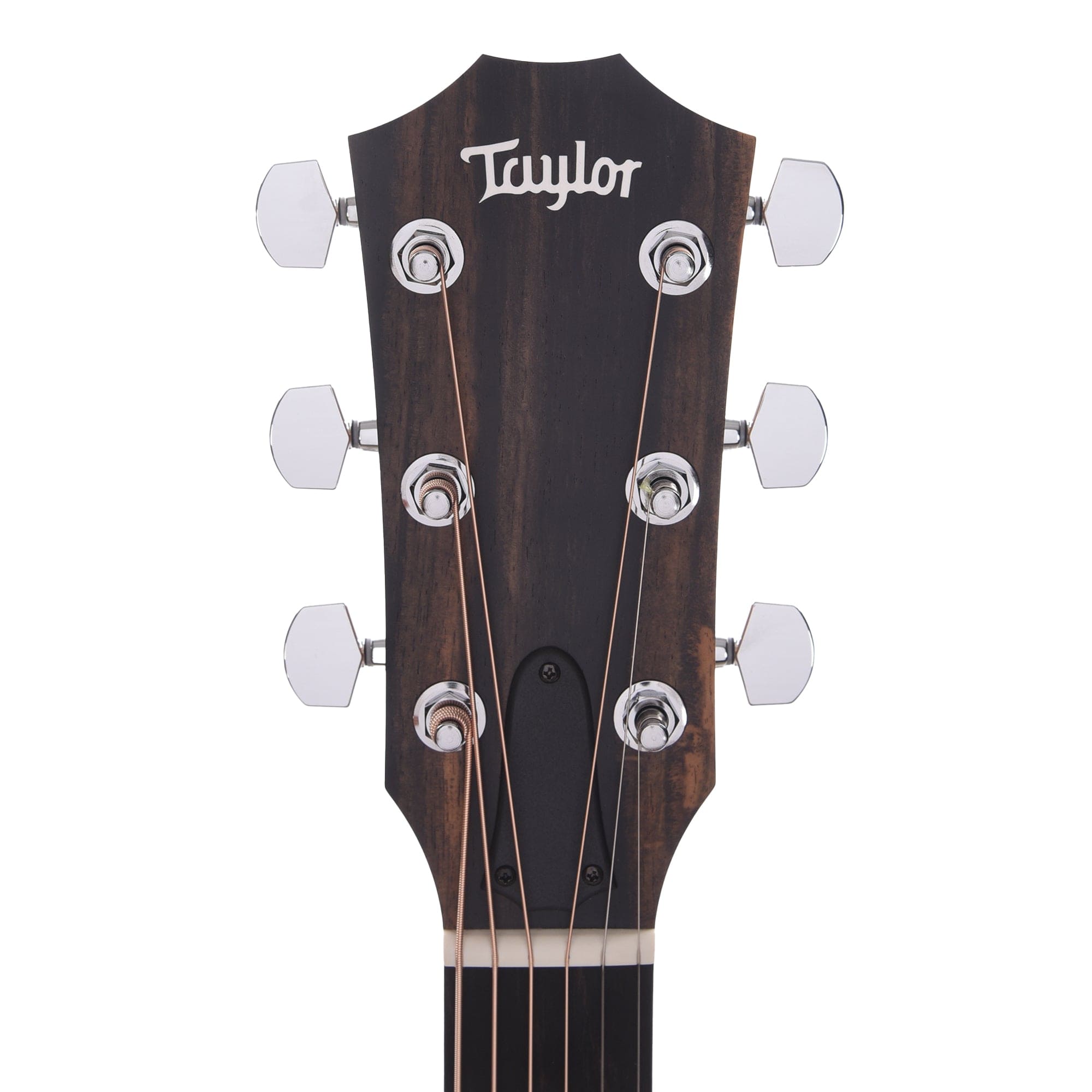 Taylor Limited 110ce-S Dreadnought Sitka/Sapele Natural Acoustic Guitars / Dreadnought