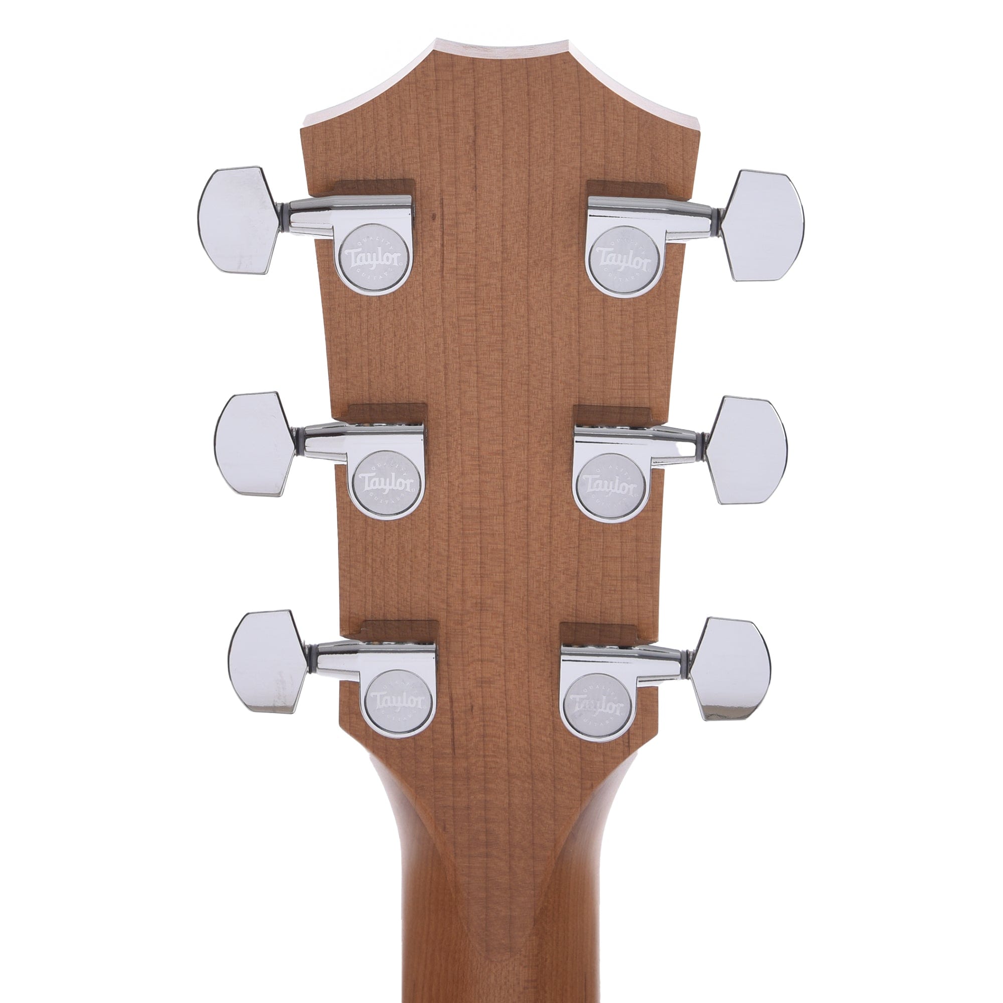 Taylor Limited 110ce-S Dreadnought Sitka/Sapele Natural Acoustic Guitars / Dreadnought