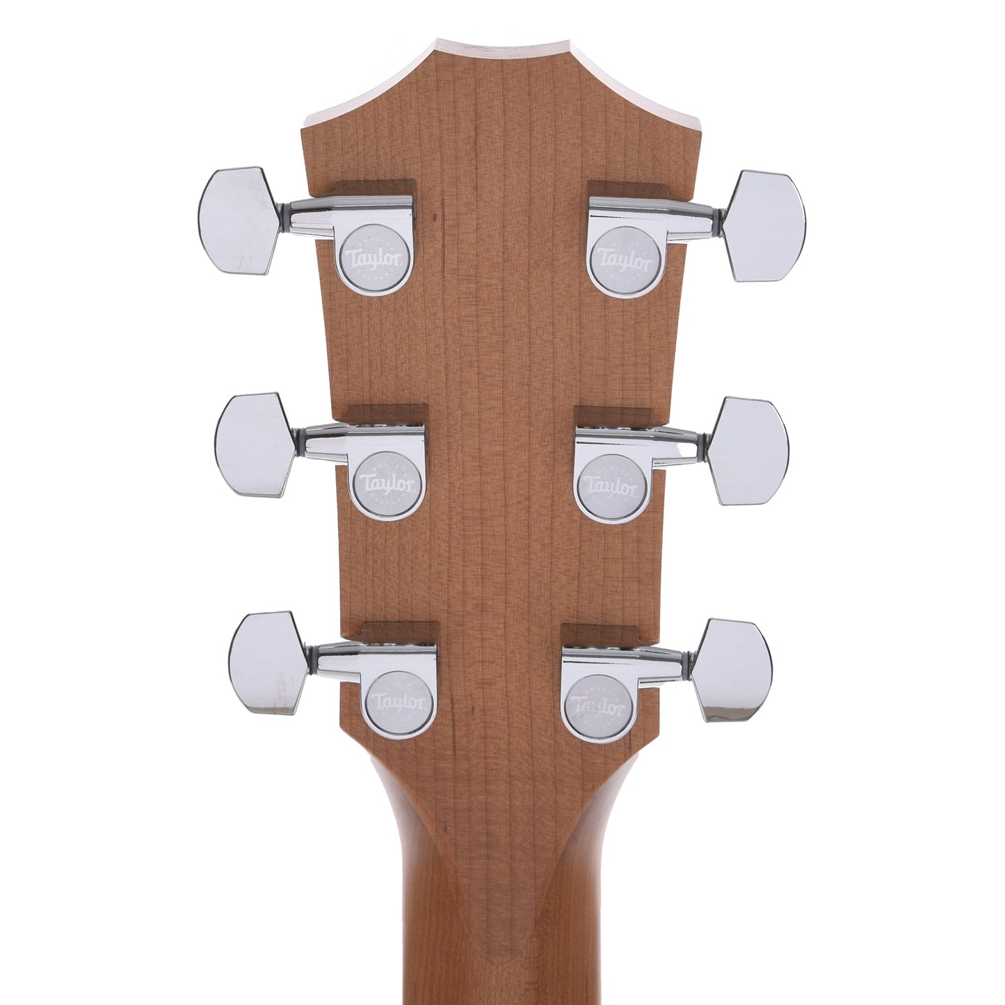 Taylor Limited 110ce-S Dreadnought Sitka/Sapele Natural Acoustic Guitars / Dreadnought