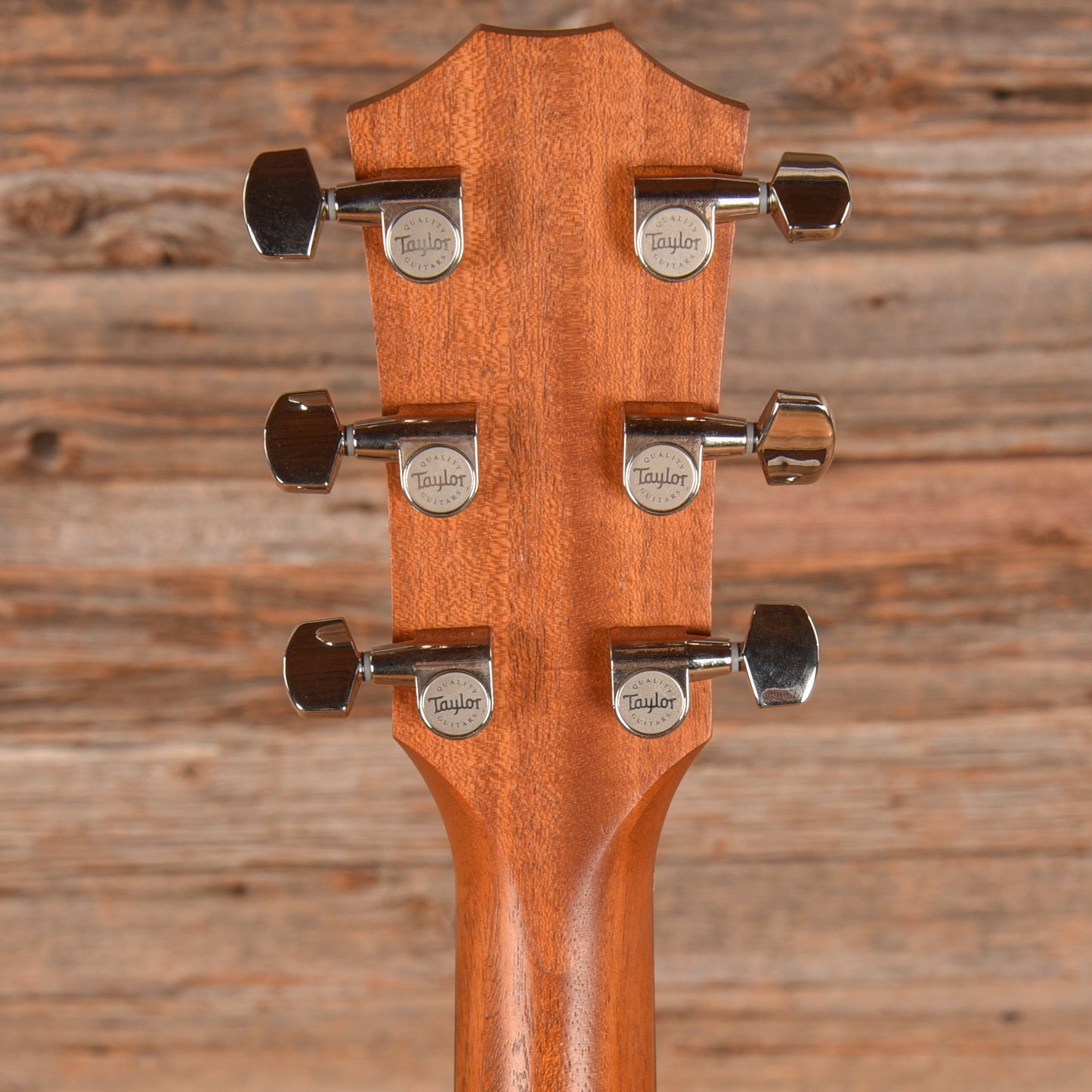 Taylor Taylor 210ce plus Natural 2023 Acoustic Guitars / Dreadnought