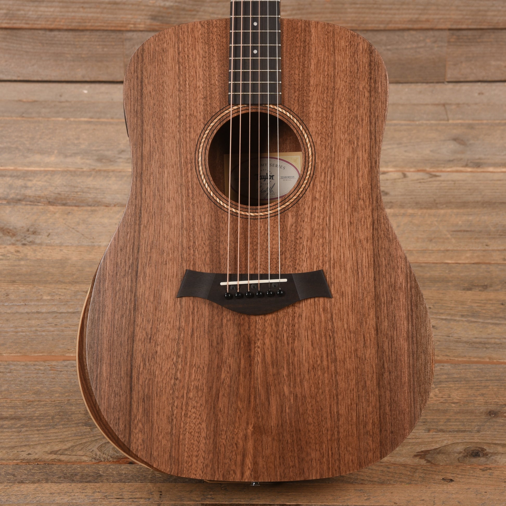 Taylor Academy 20e Walnut Top Acoustic Guitars / Mini/Travel