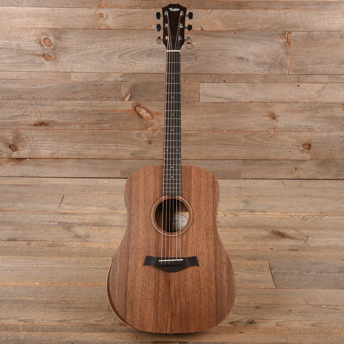 Taylor Academy 20e Walnut Top Acoustic Guitars / Mini/Travel