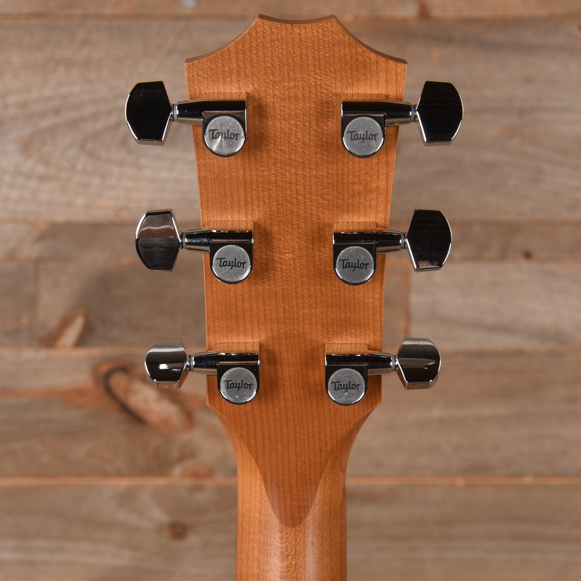 Taylor Academy 20e Walnut Top Acoustic Guitars / Mini/Travel
