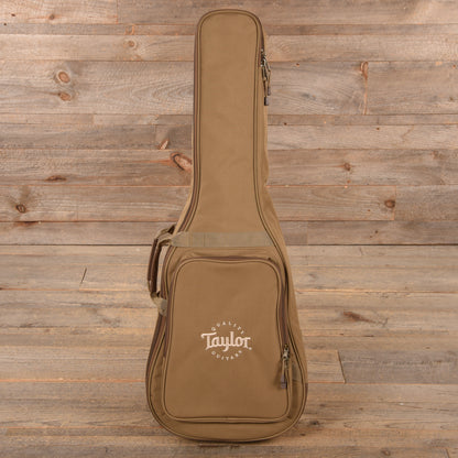 Taylor Academy 20e Walnut Top Acoustic Guitars / Mini/Travel
