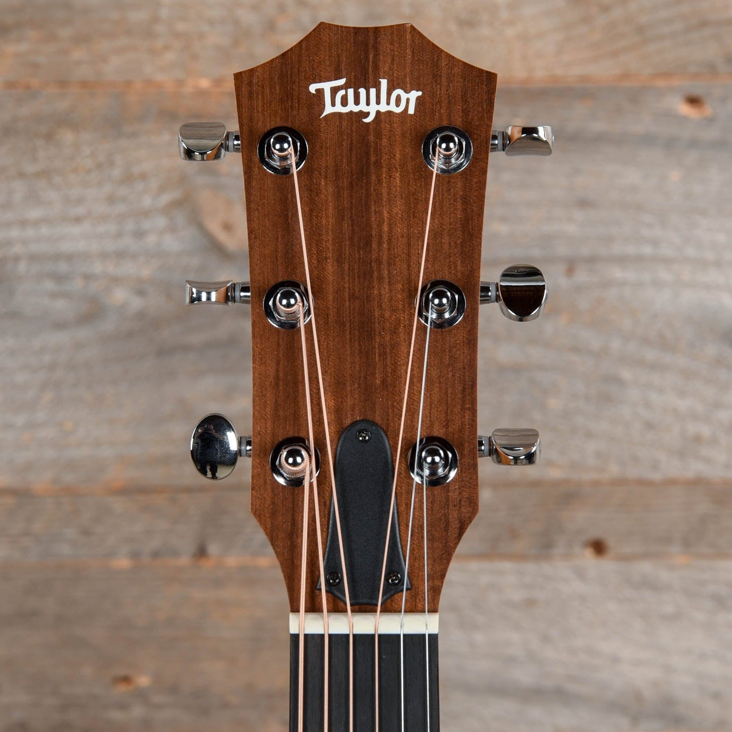Taylor BBTe Walnut Top ES-B Acoustic Guitars / Mini/Travel