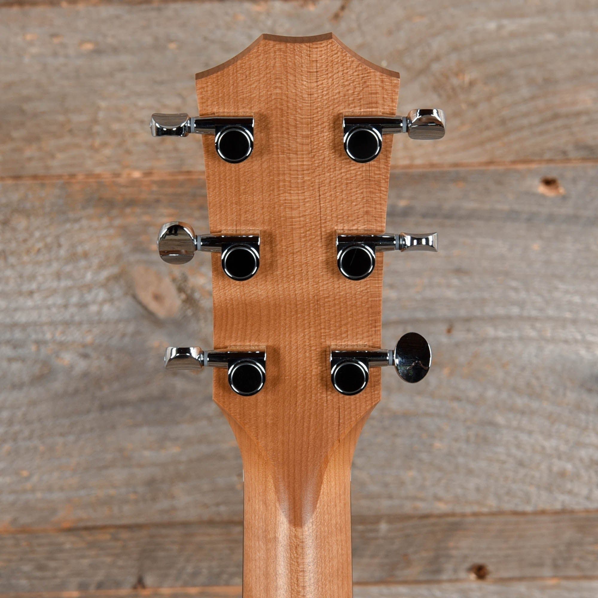 Taylor BBTe Walnut Top ES-B Acoustic Guitars / Mini/Travel