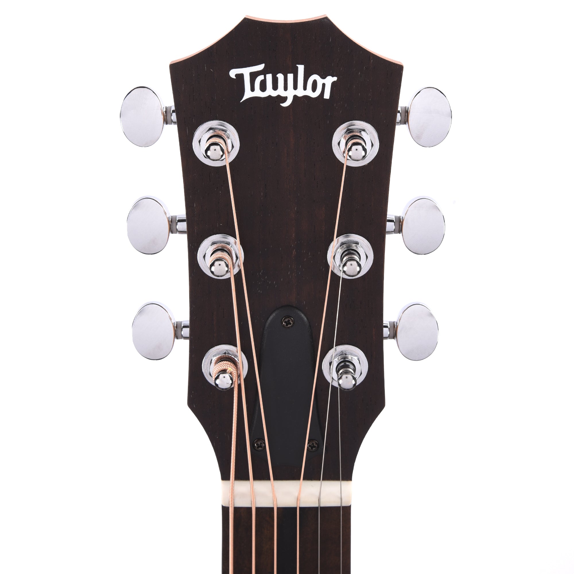 Taylor GS Mini-e Special Edition Dragon Acoustic Guitars / Mini/Travel