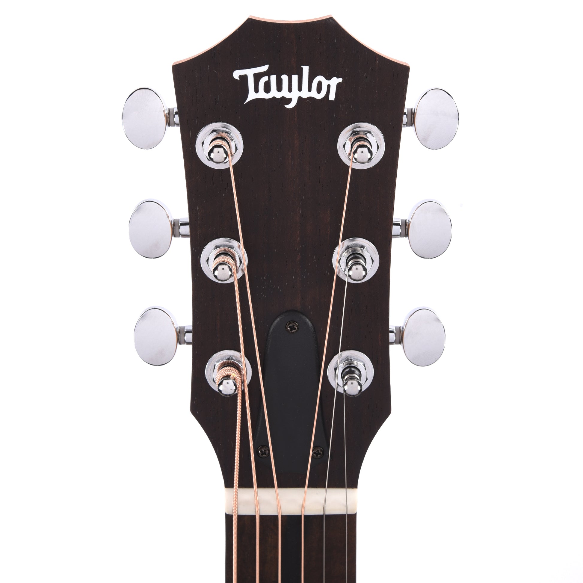 Taylor GS Mini-e Special Edition Dragon Acoustic Guitars / Mini/Travel