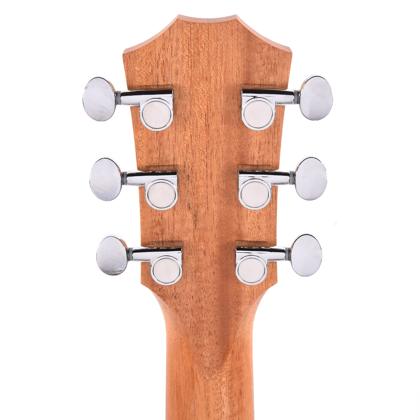 Taylor GS Mini-e Special Edition Dragon Acoustic Guitars / Mini/Travel