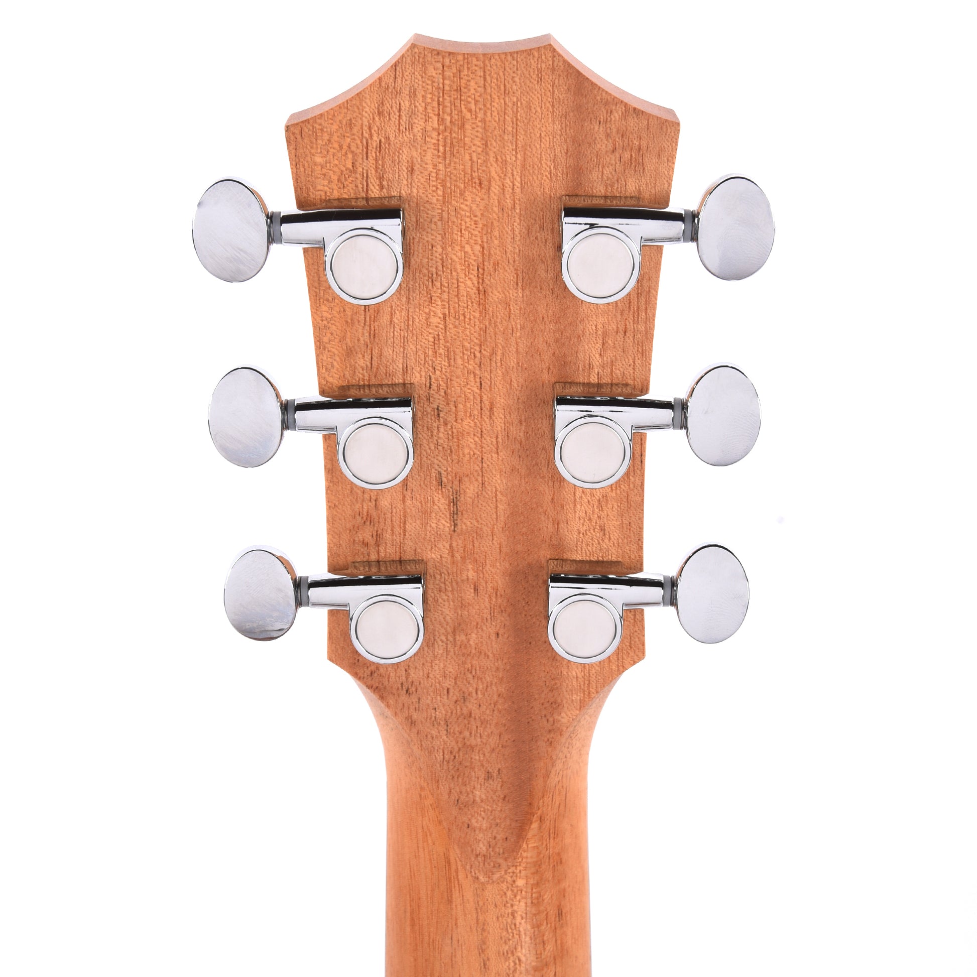 Taylor GS Mini-e Special Edition Dragon Acoustic Guitars / Mini/Travel